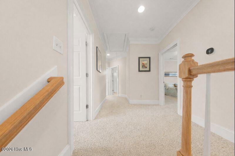 100548095 | Photo 40