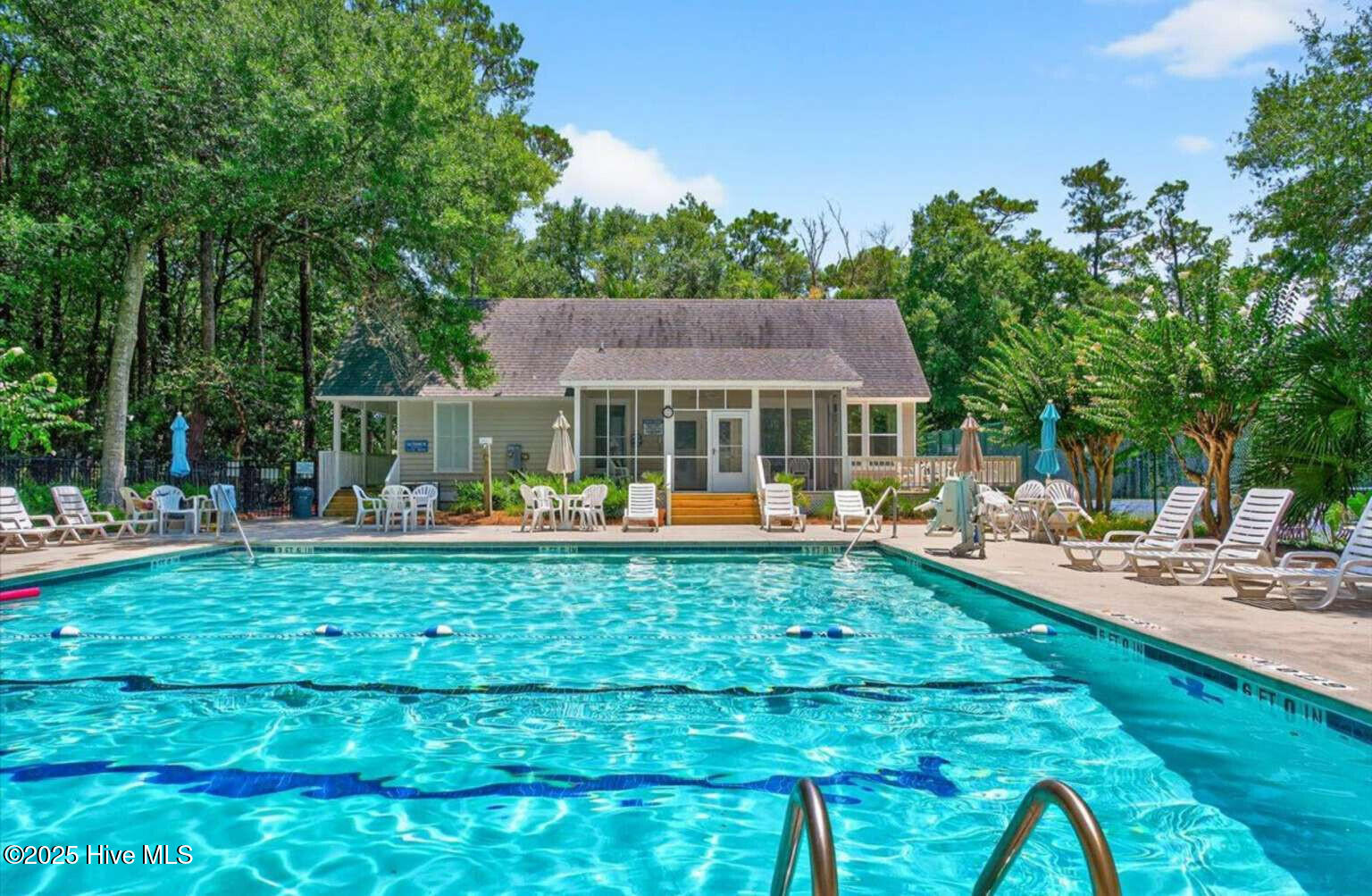 100539147 | Photo 34