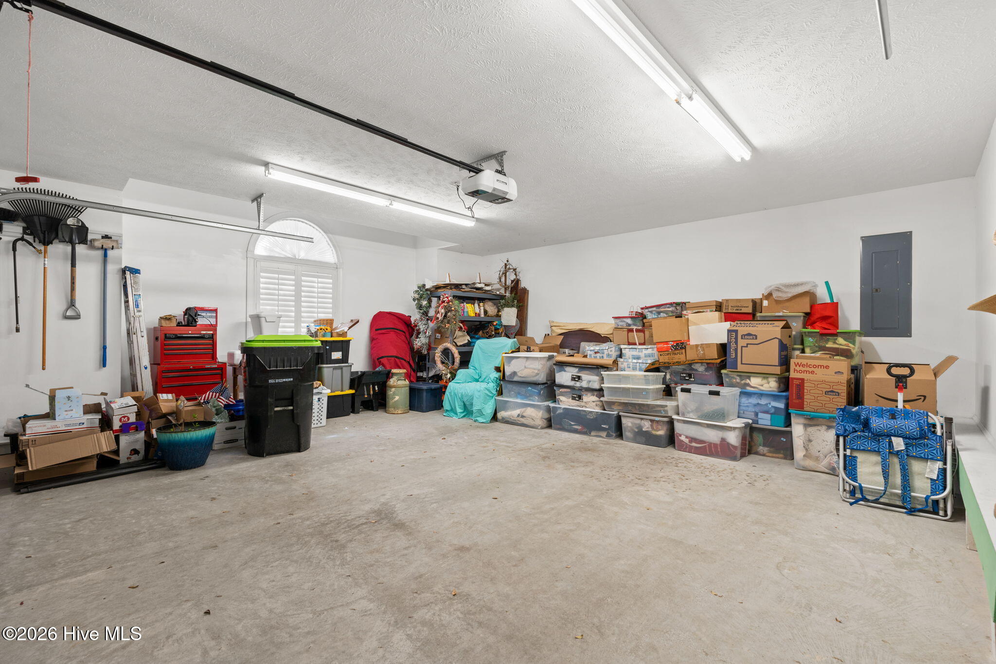 100567853 | Photo 37