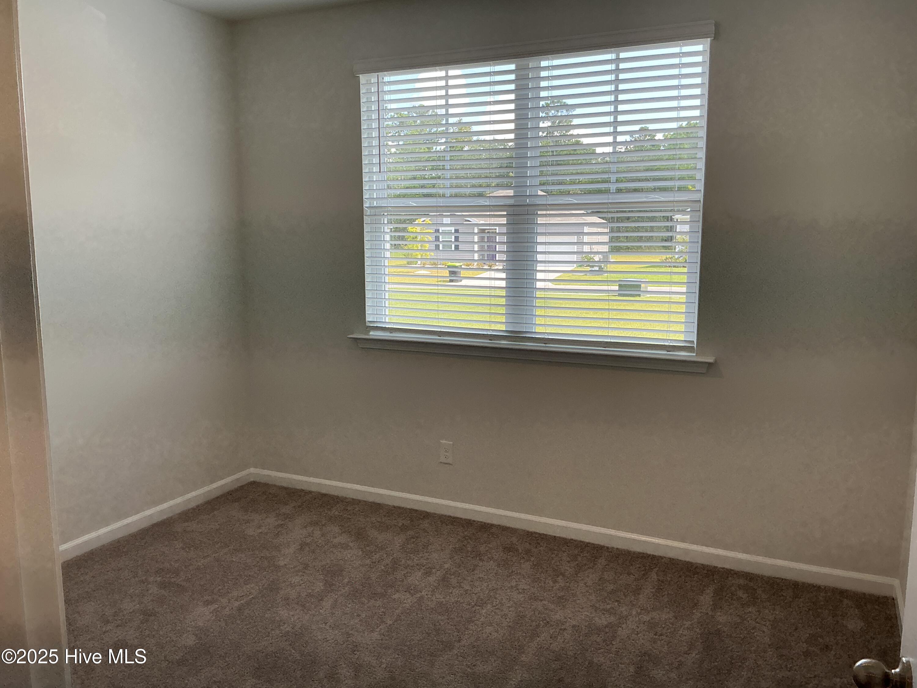 100524327 | Photo 23