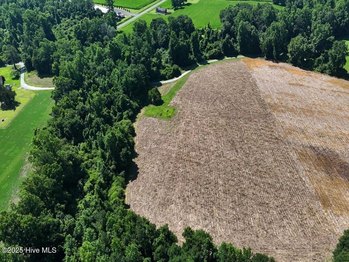 100513588 | Photo 34