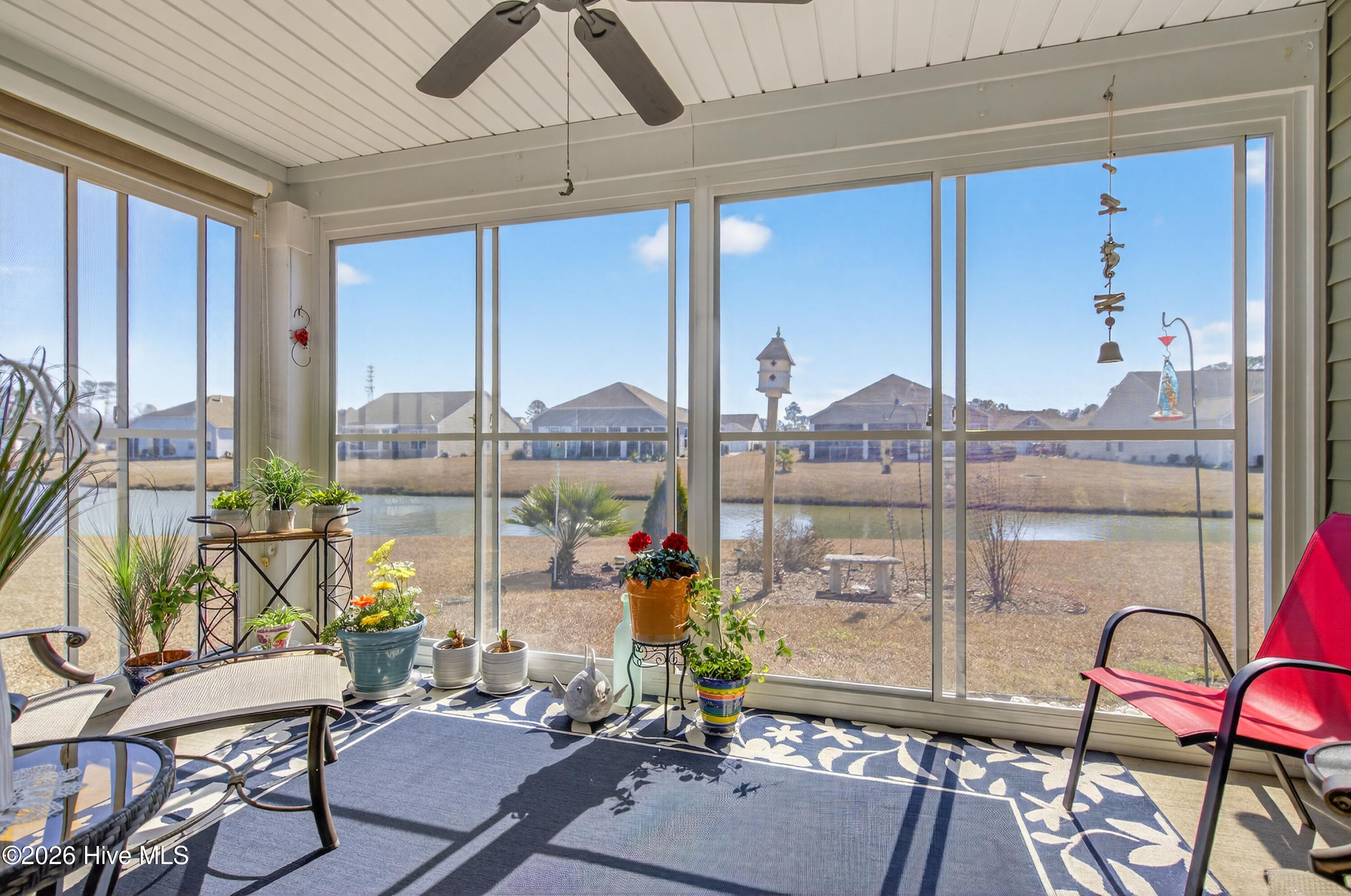 100557336 | Photo 22