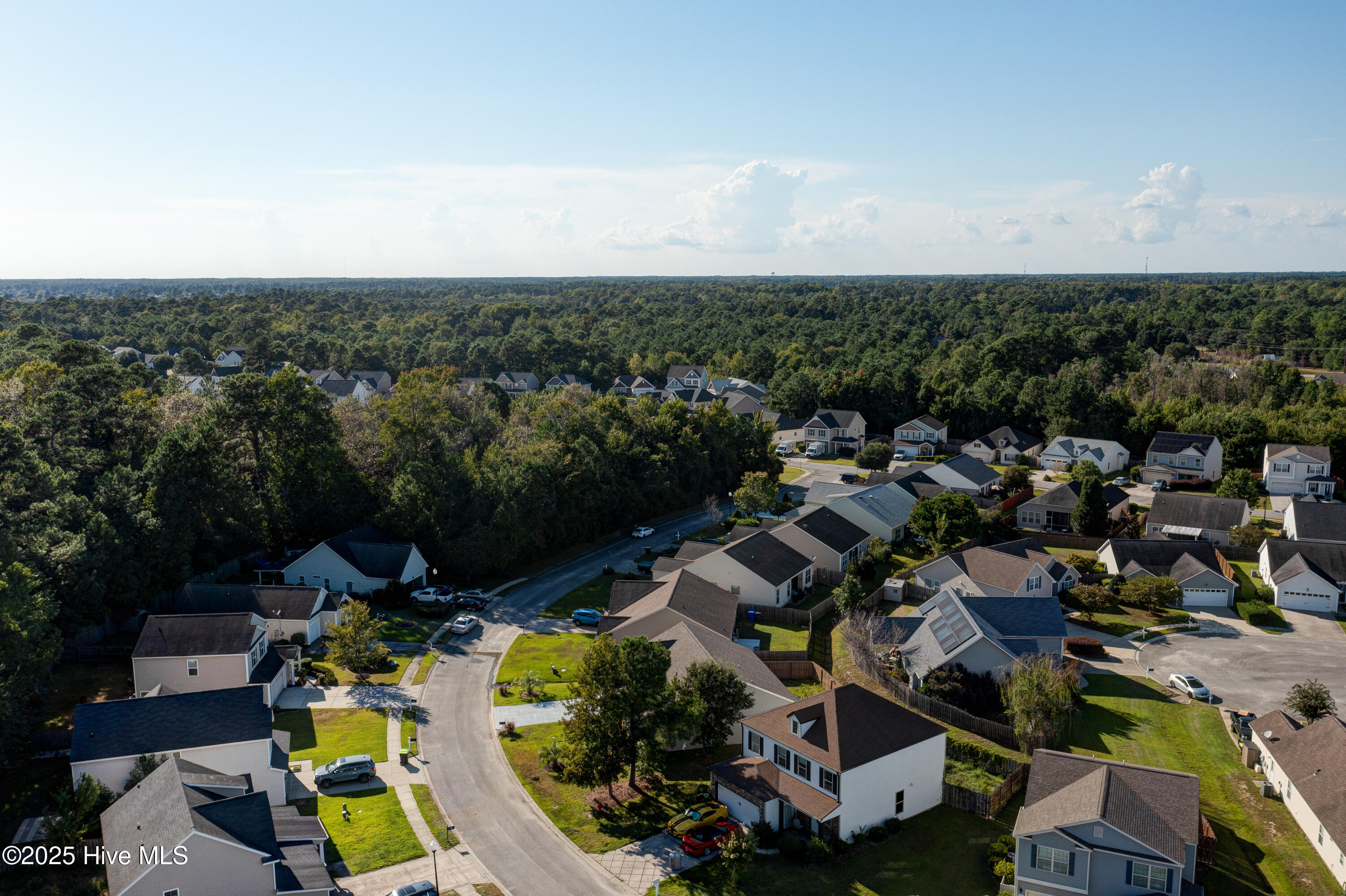 100530947 | Photo 46