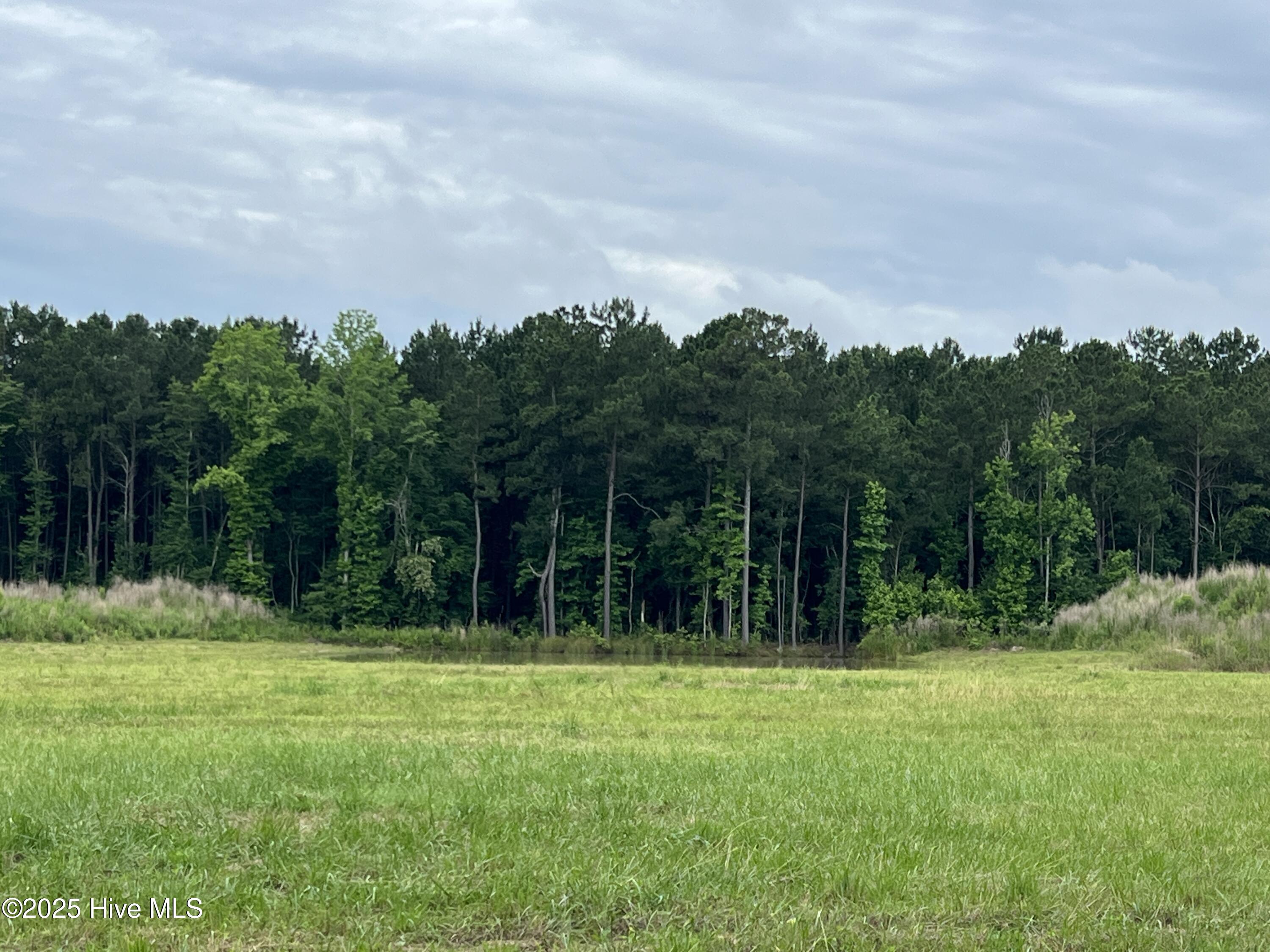 14.5 cleared acres available just outside of the city limits of Williamston. This property was recently cleared and septic permit has been issued. The seller also had a nice half acre pond dug along the back property line and has the fill stock piled on both sides of the pond.
There is a portion of property that is fenced in and is used to keep equipment.
There are unlimited possibilities here. Call and line up a showing today!