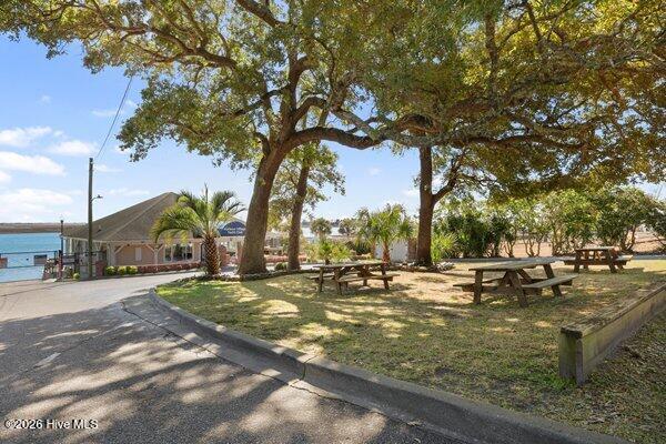 100556349 | Photo 42