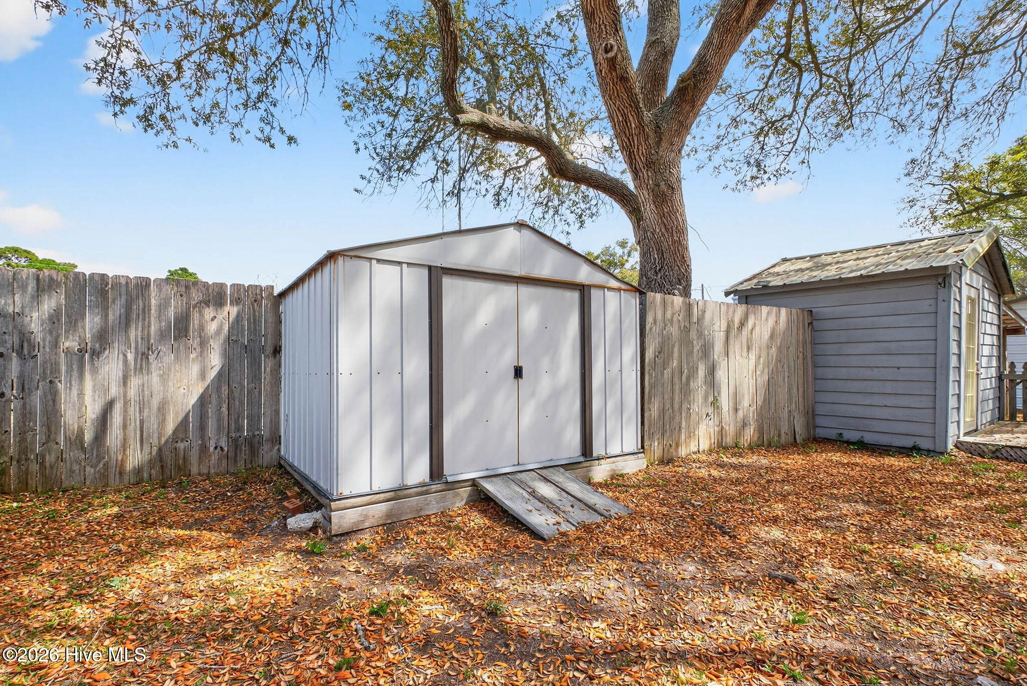 100564945 | Photo 21