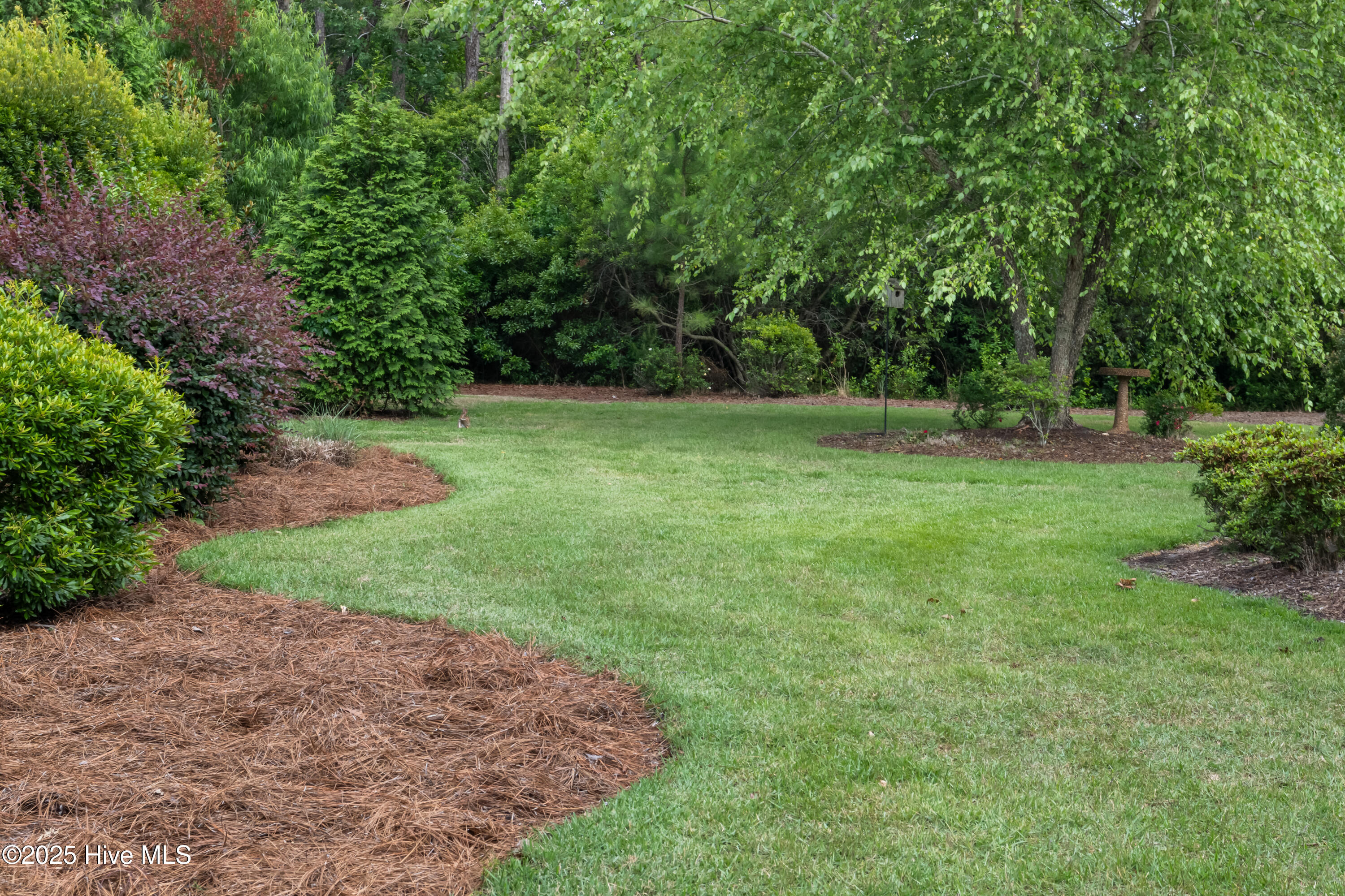 100510416 | Photo 37