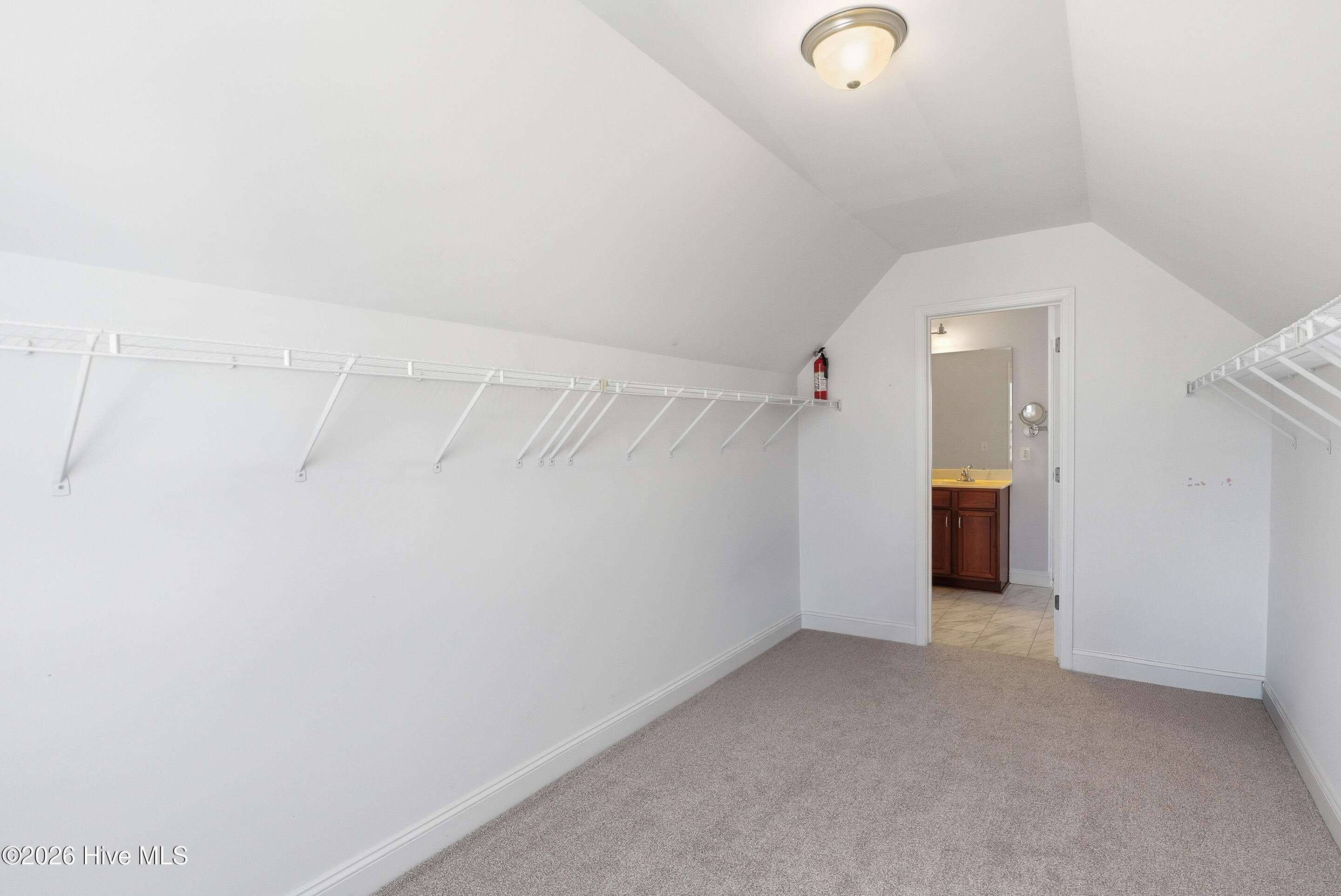 100563576 | Photo 34