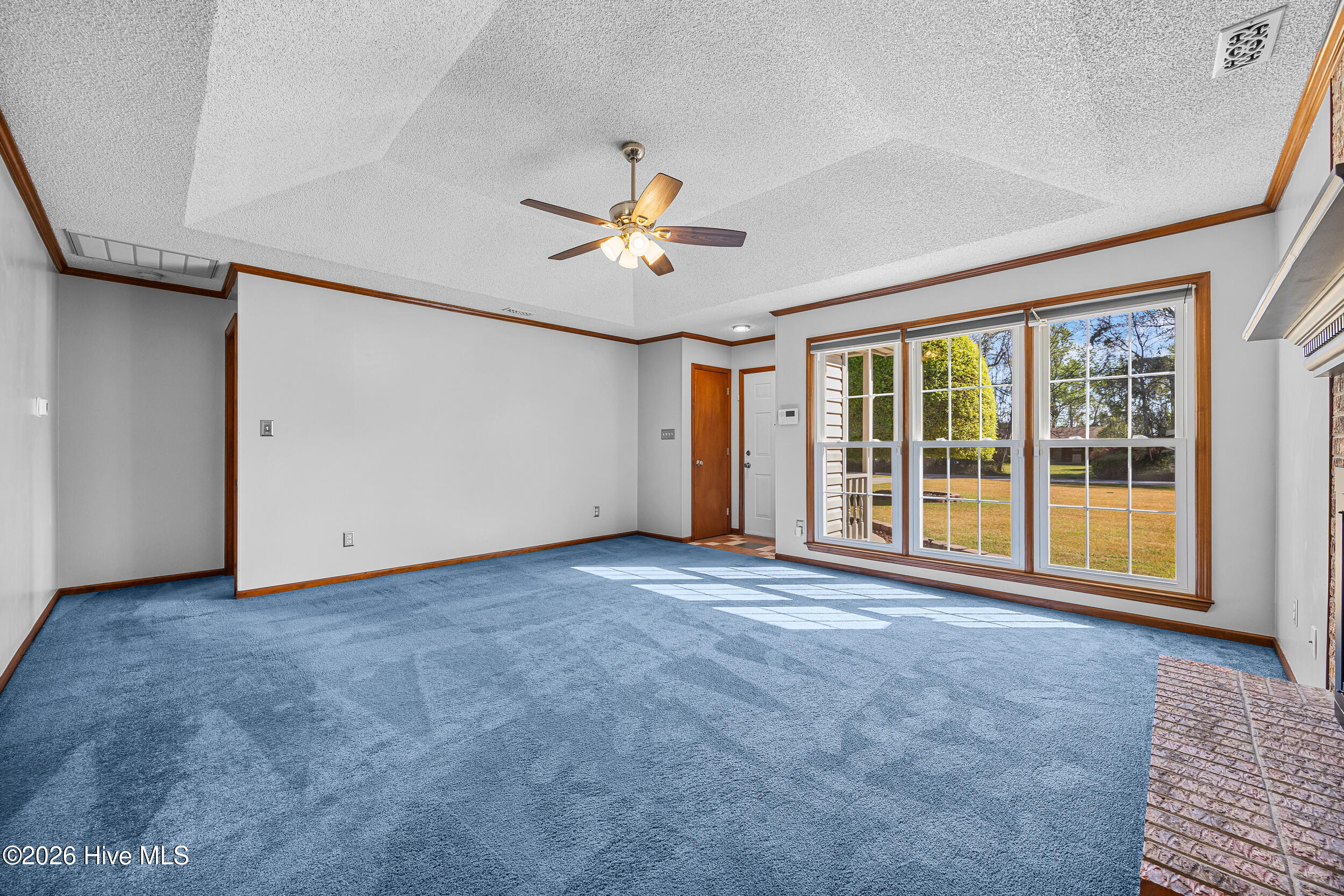 100565895 | Photo 28