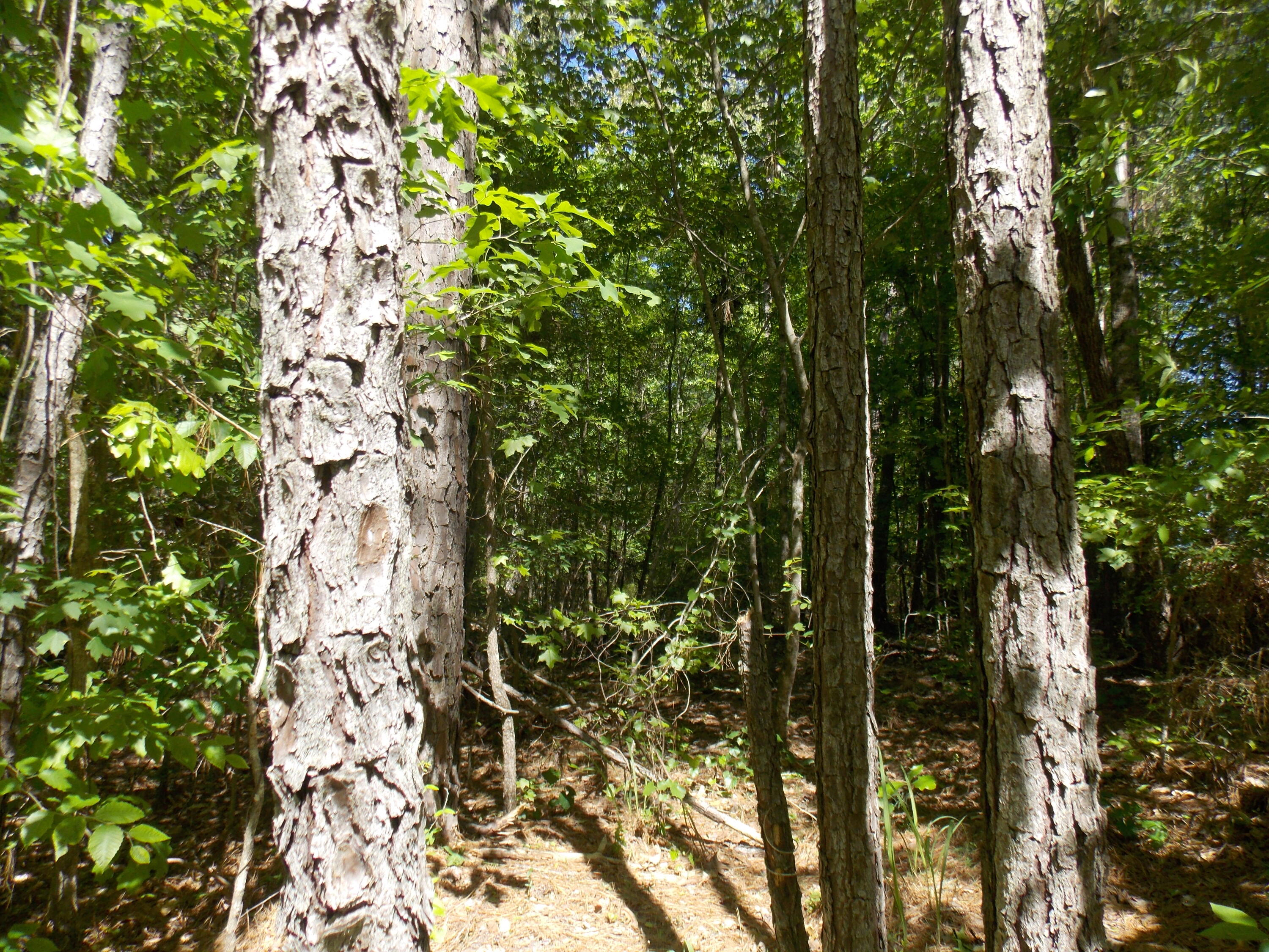 12 DOE RUN, Lincolnton, GA, 30817