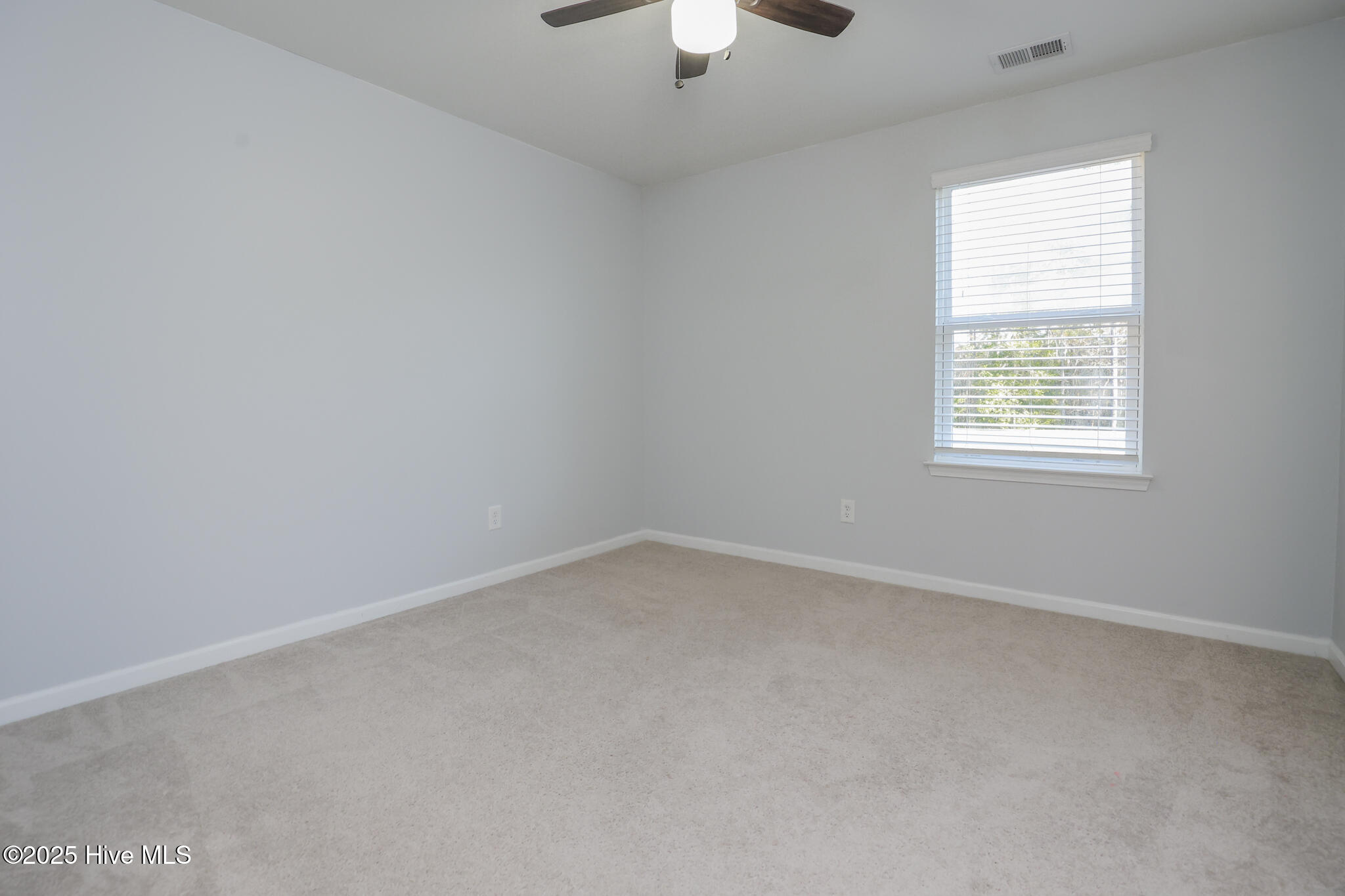 100537464 | Photo 28