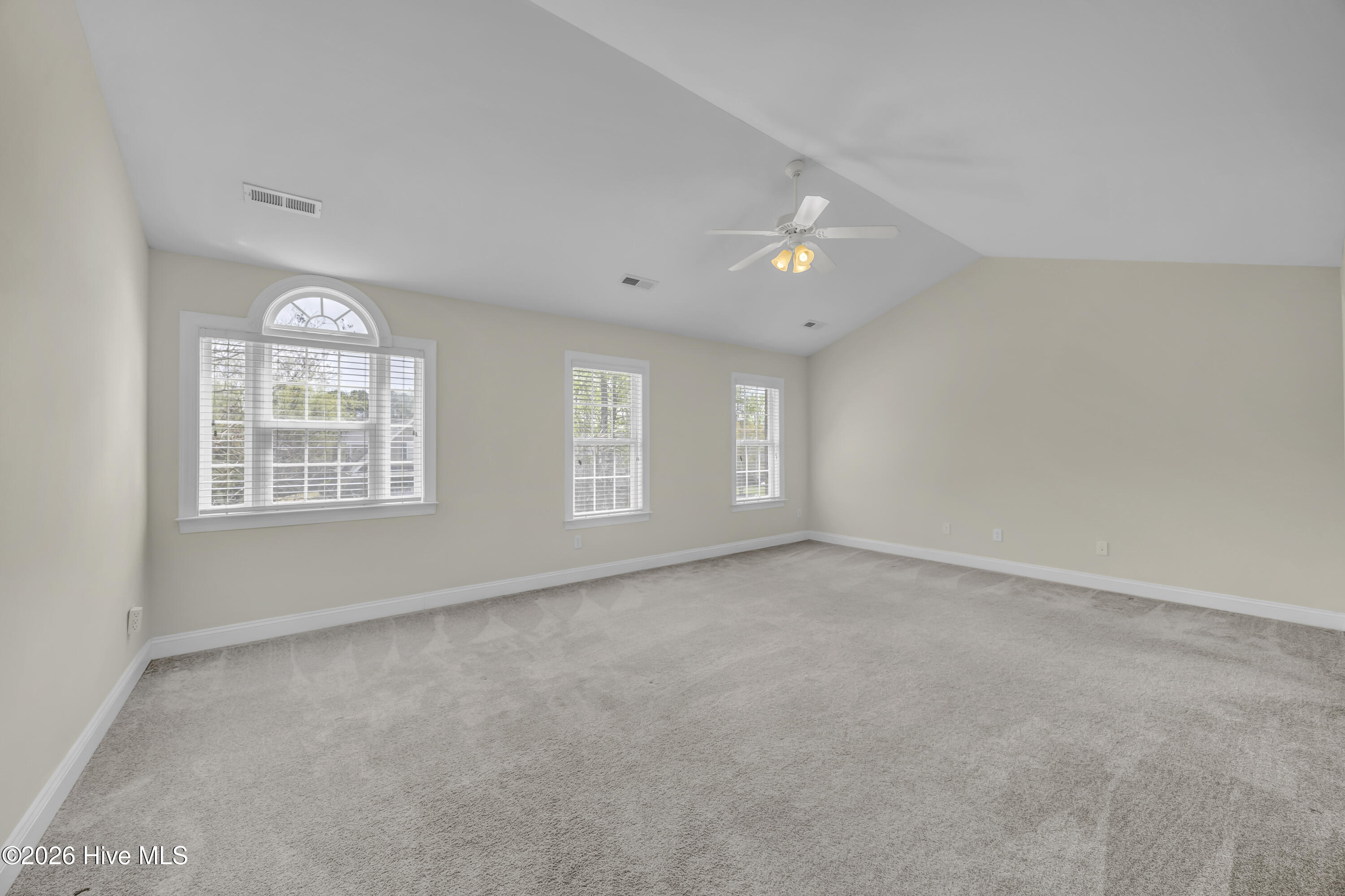 100541932 | Photo 15