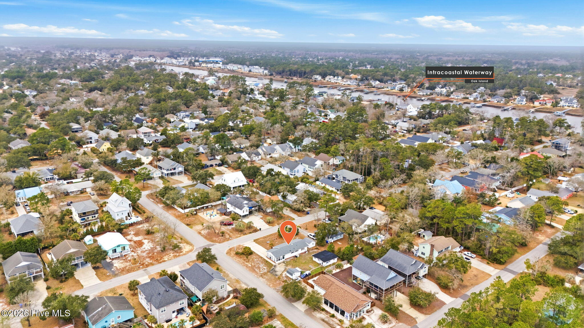 100558403 | Photo 15