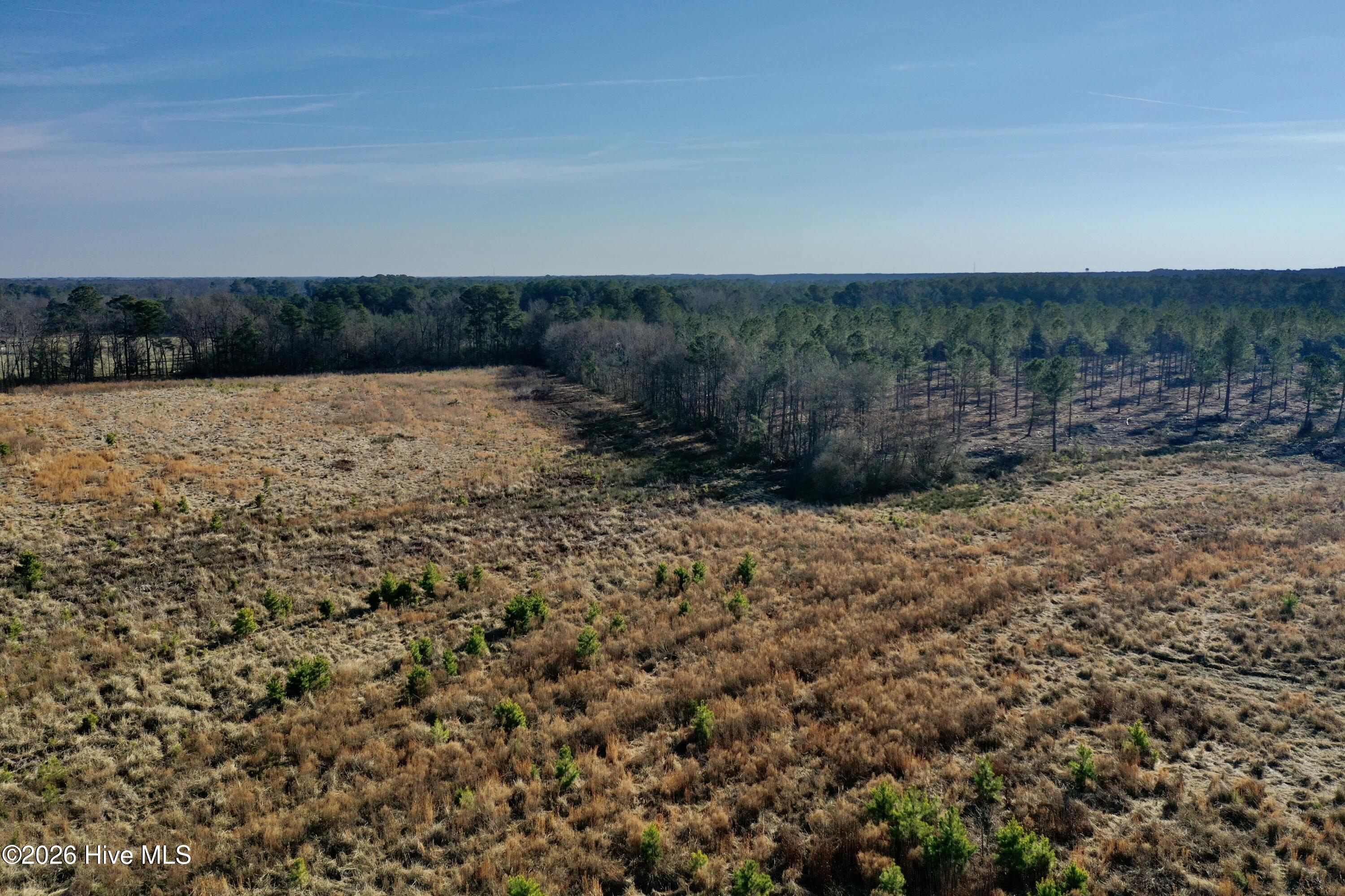 Homes for sale in Garland, NC | 0 Old Fayetteville Rd, Garland, NC 28441 | MLS# 100560570