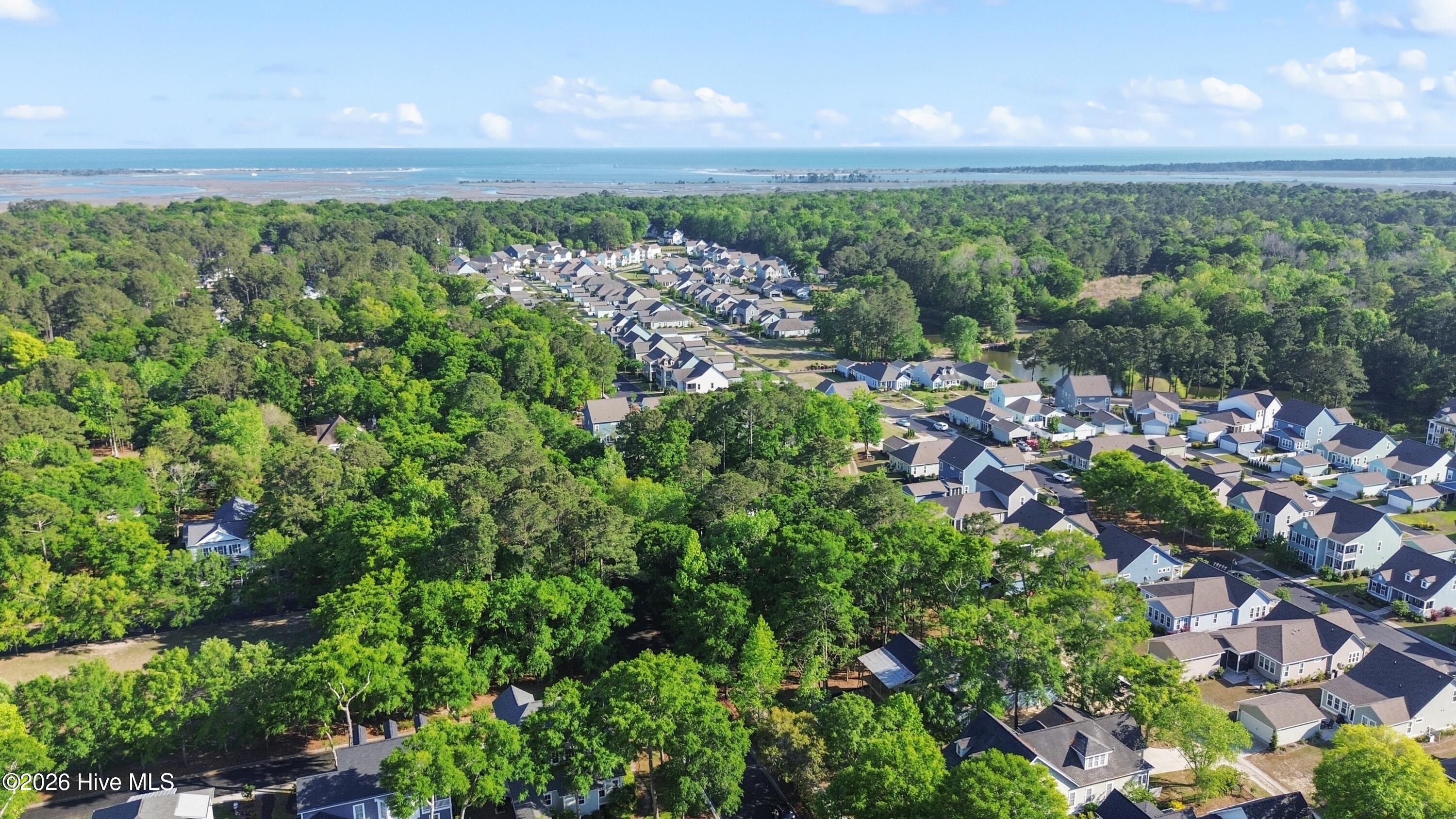 100558704 | Photo 12