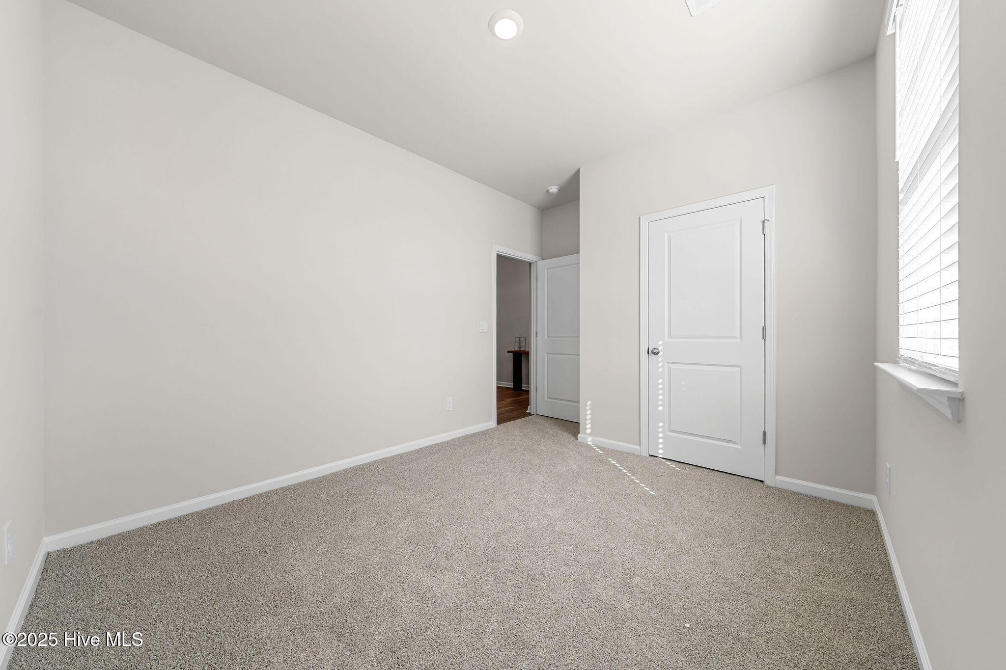 100539912 | Photo 12