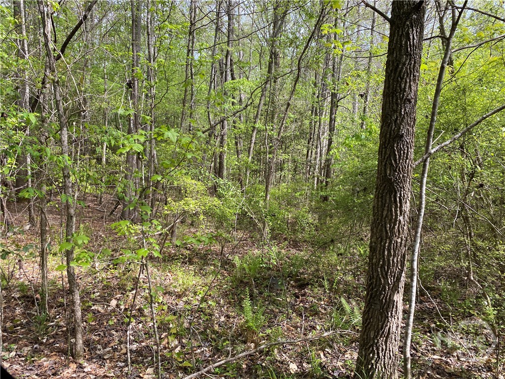 2B Curry Falls Trail Road UNIT 2B, Athens, GA, 30607