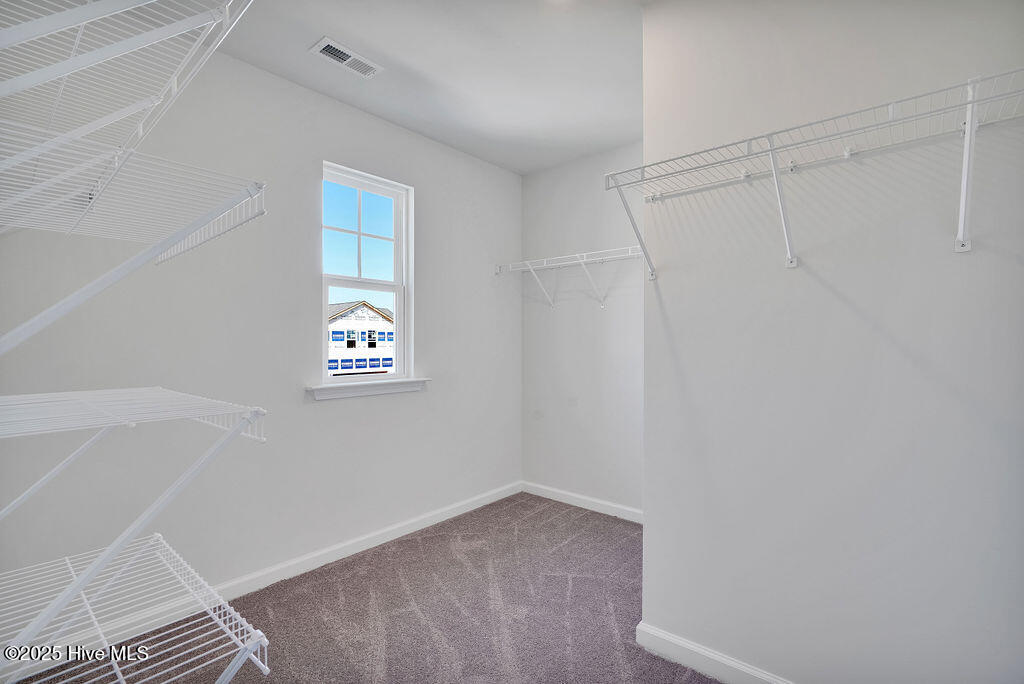 100531117 | Photo 23