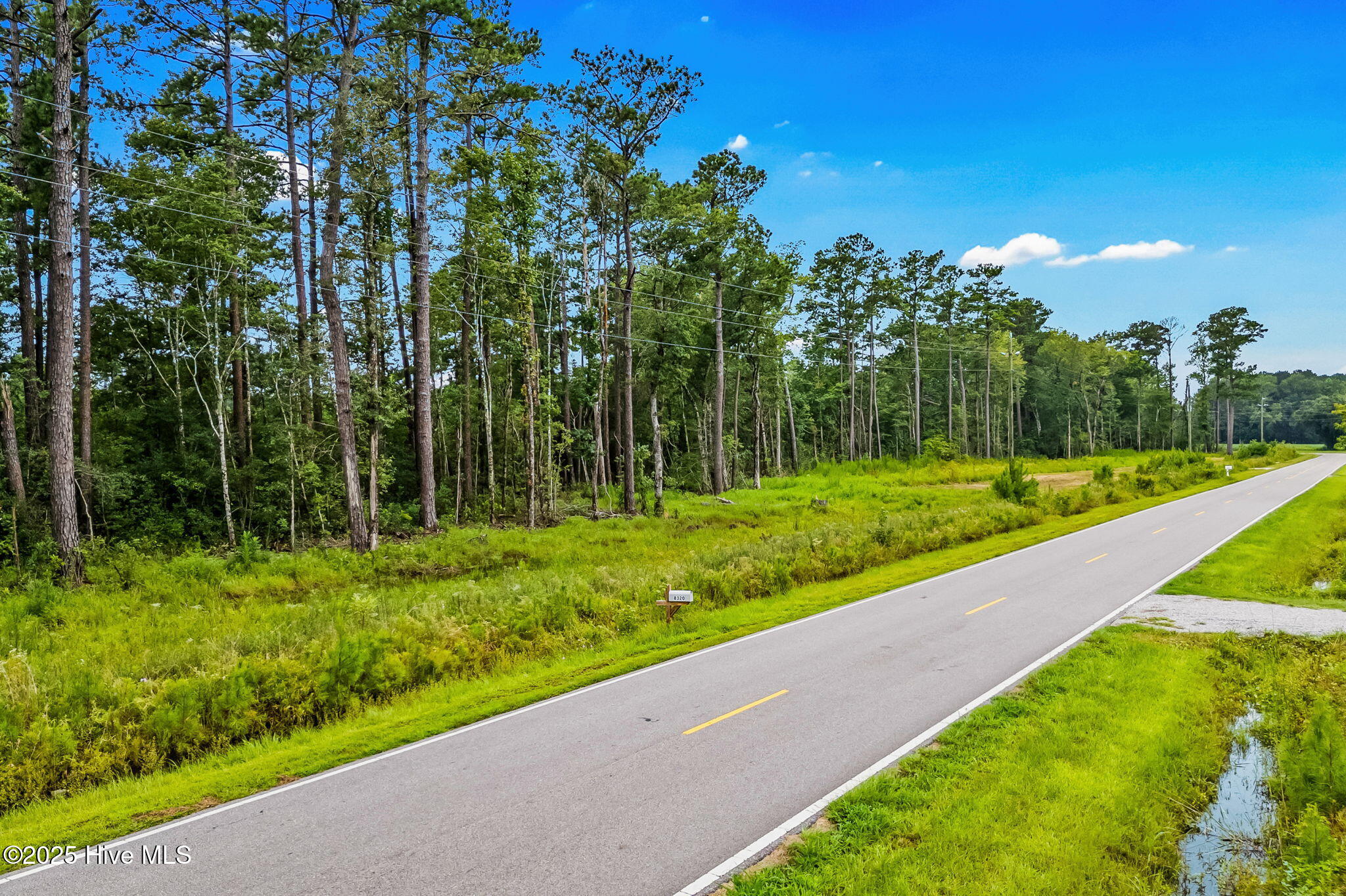 100526620 | Photo 18