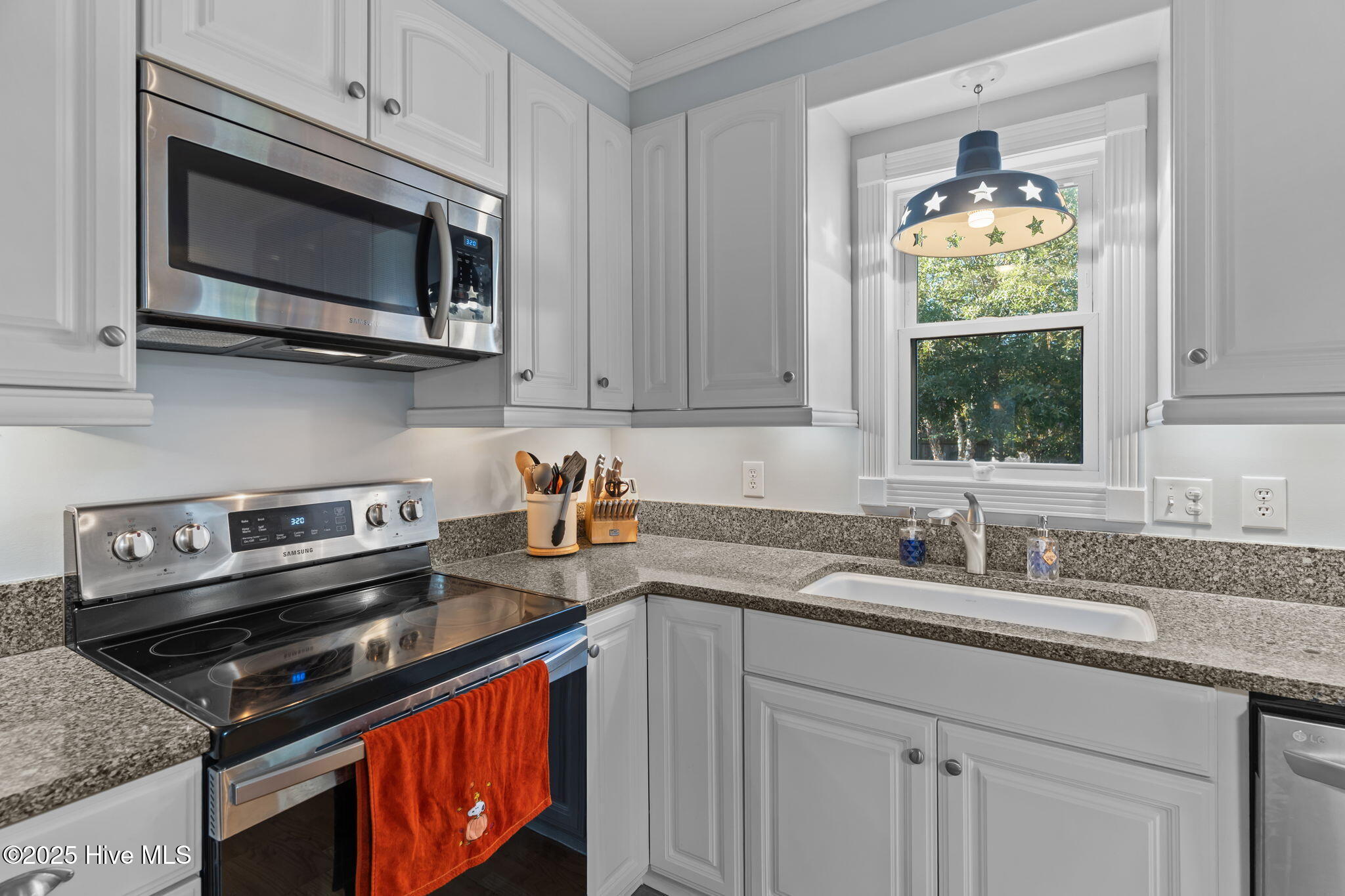 100539948 | Photo 15