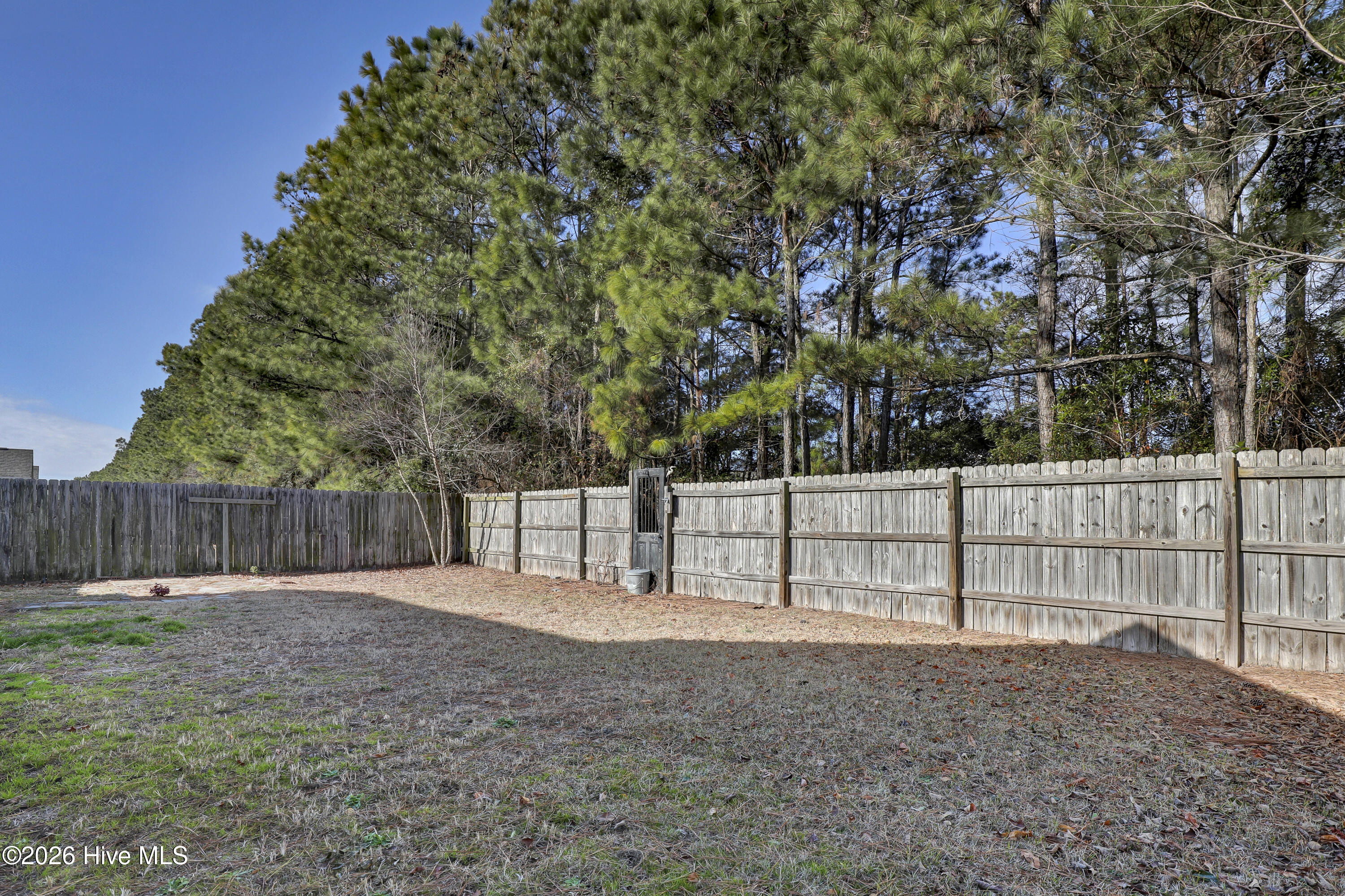 100549812 | Photo 29