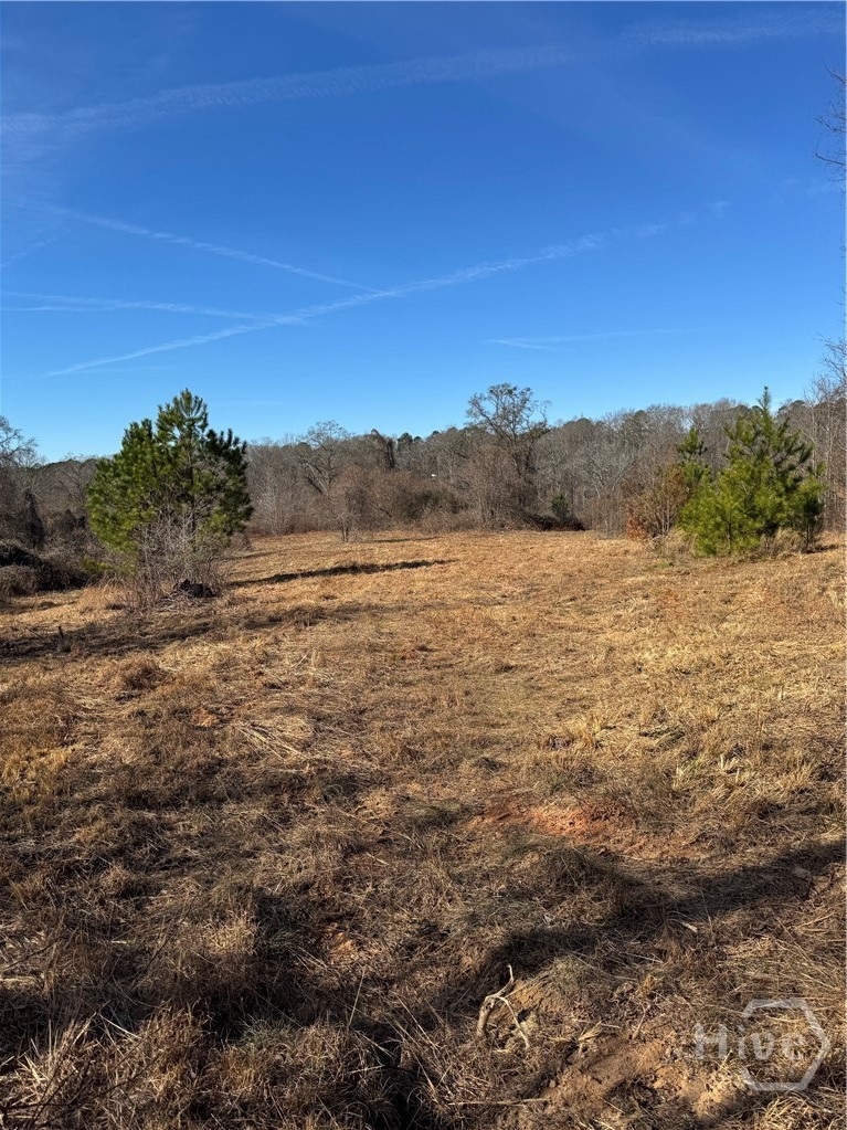 738 Old Mineral Springs Road, Elberton, GA, 30635