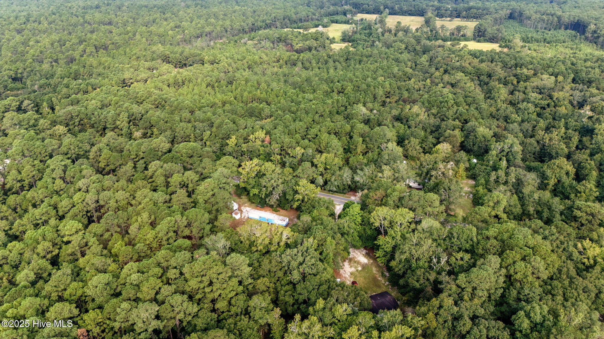 100526805 | Photo 16