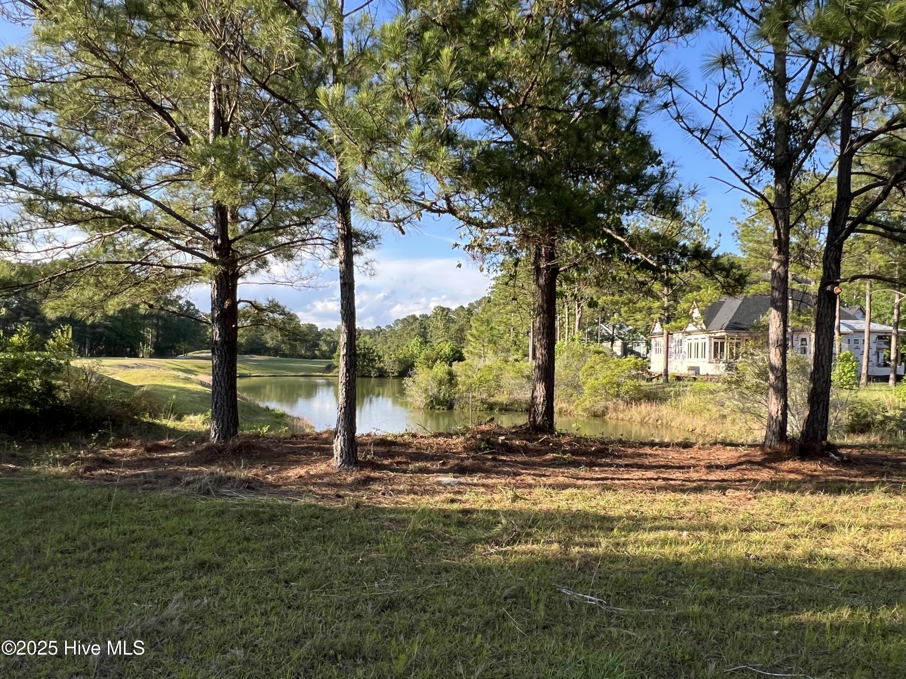 100509687 | Photo 19