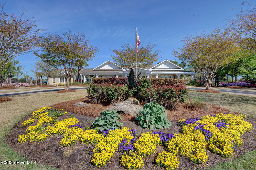 100542257 | Photo 28