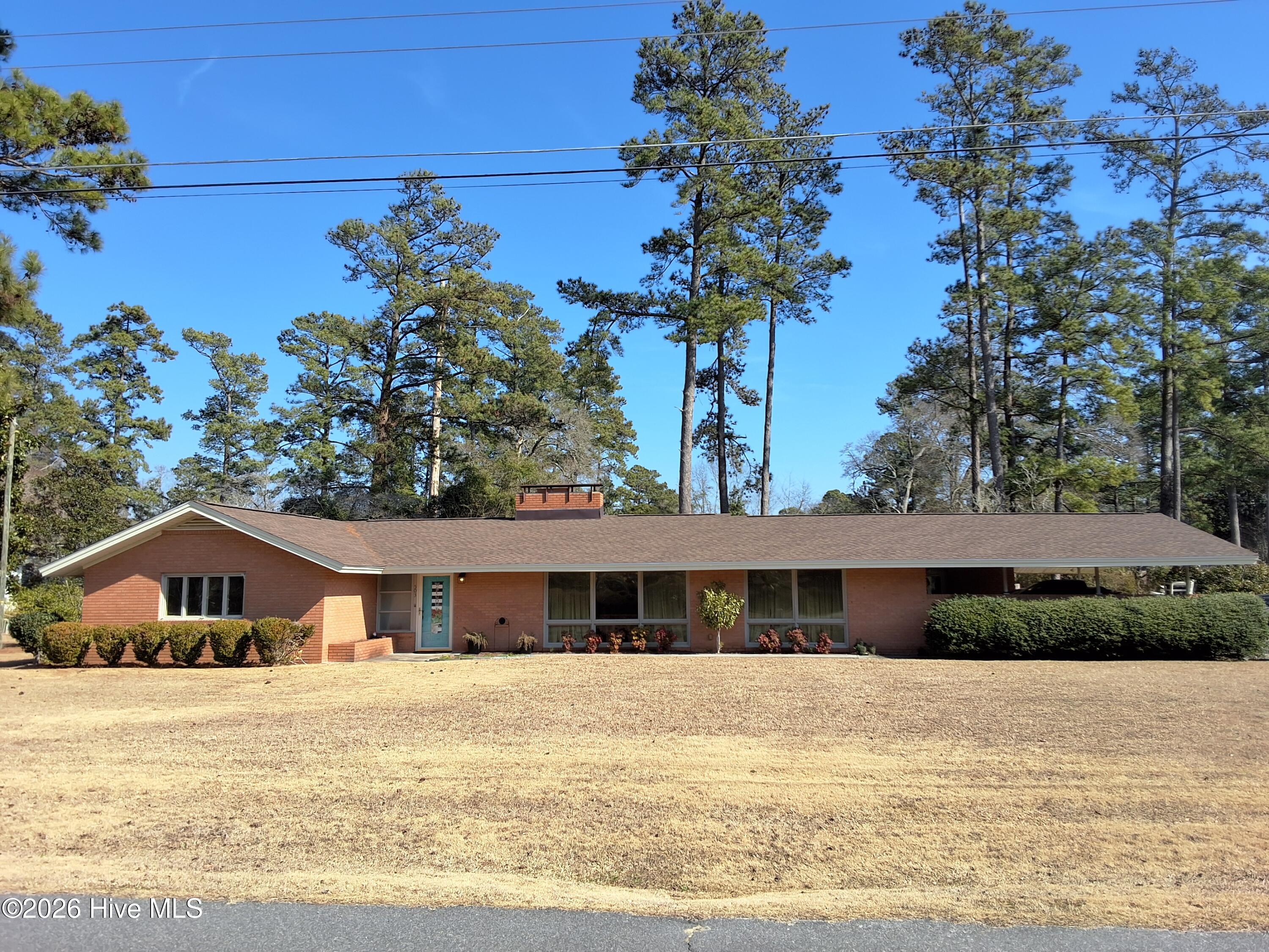 100554569 | Photo 85