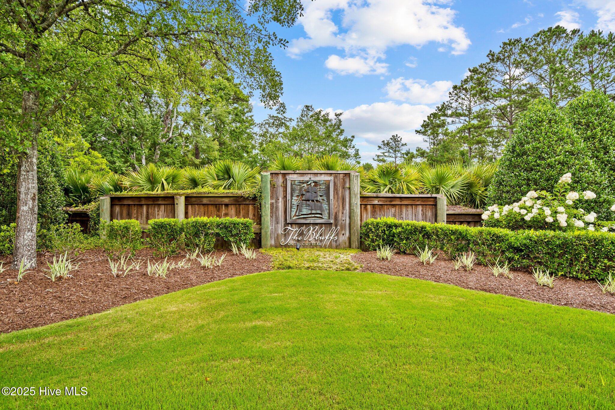 100552432 | Photo 73