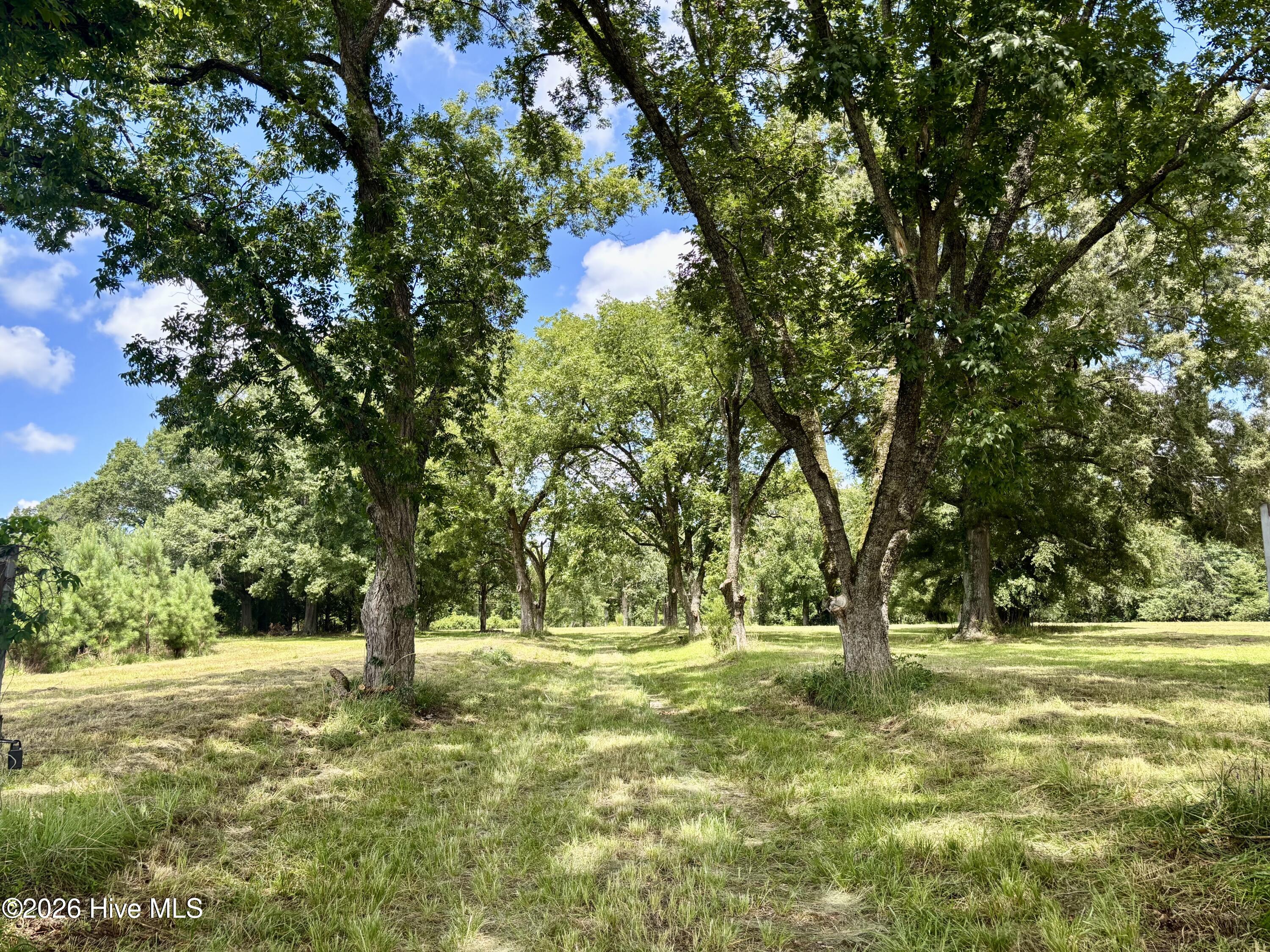 2nd image of Tbd Roberdel School Rd, Rockingham, NC 28379 | MLS# 100594177