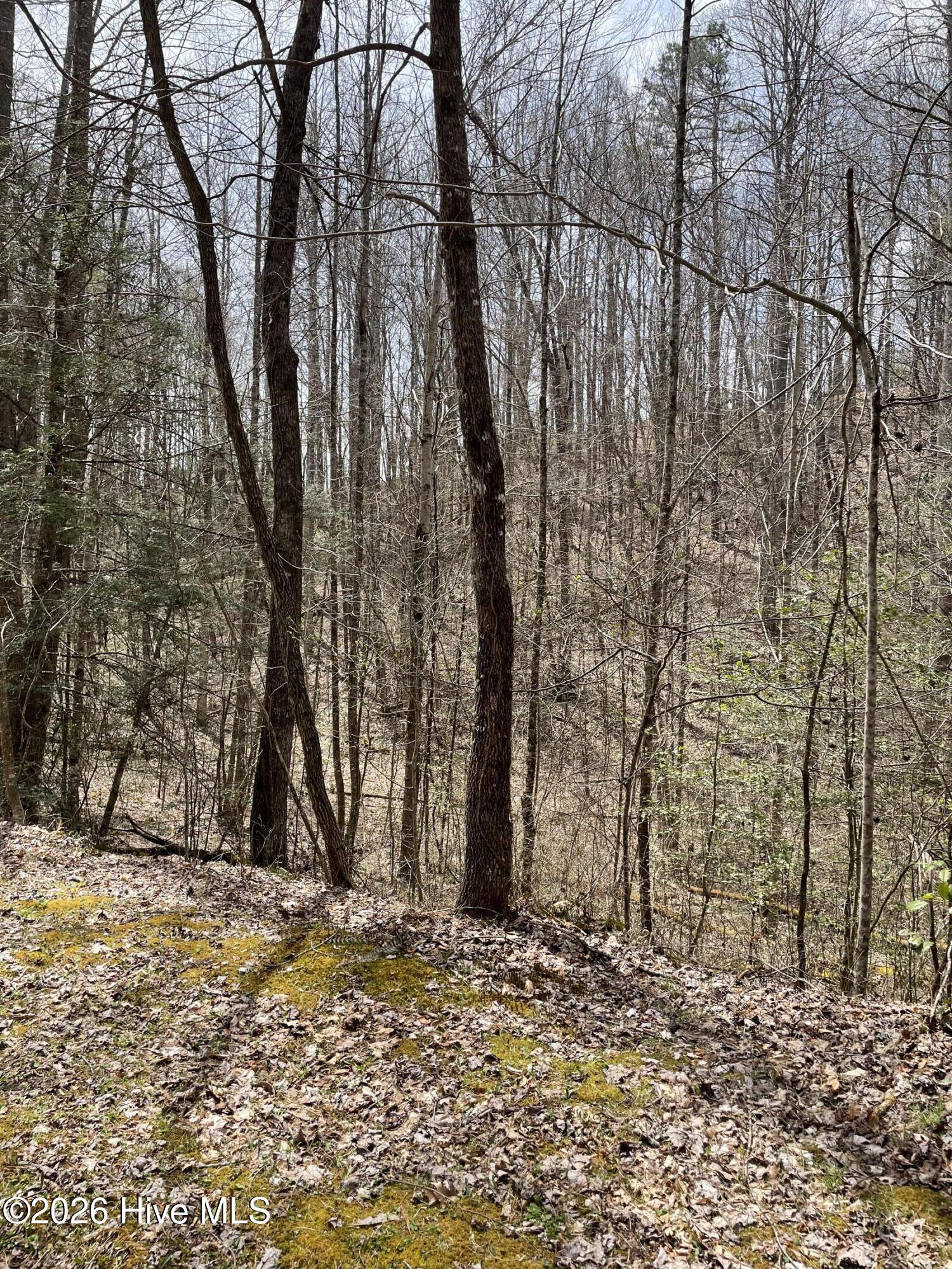 3rd image of 11A 11B Hidden Lakes Rd, Topton, NC 28781 | MLS# 100597991