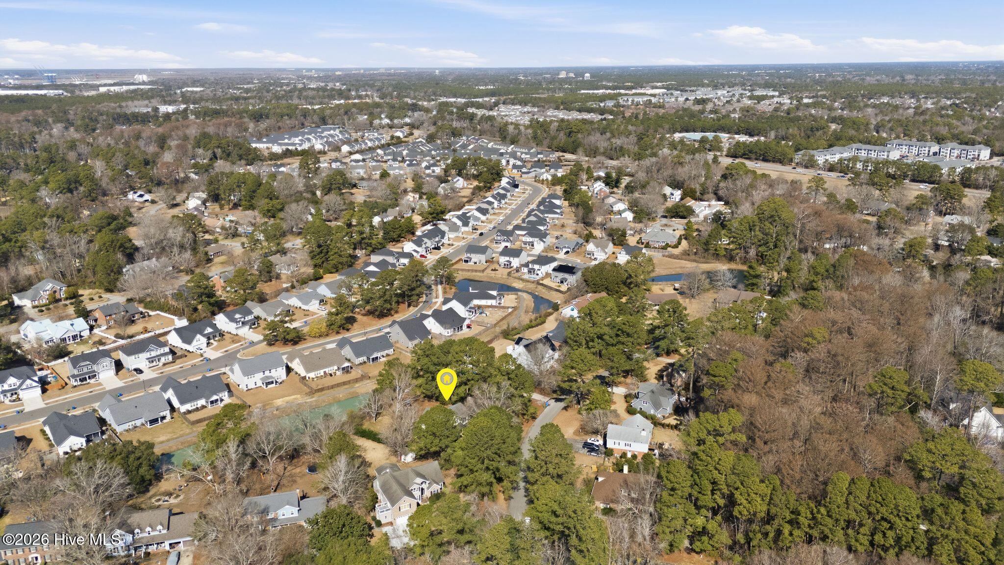 100554538 | Photo 71