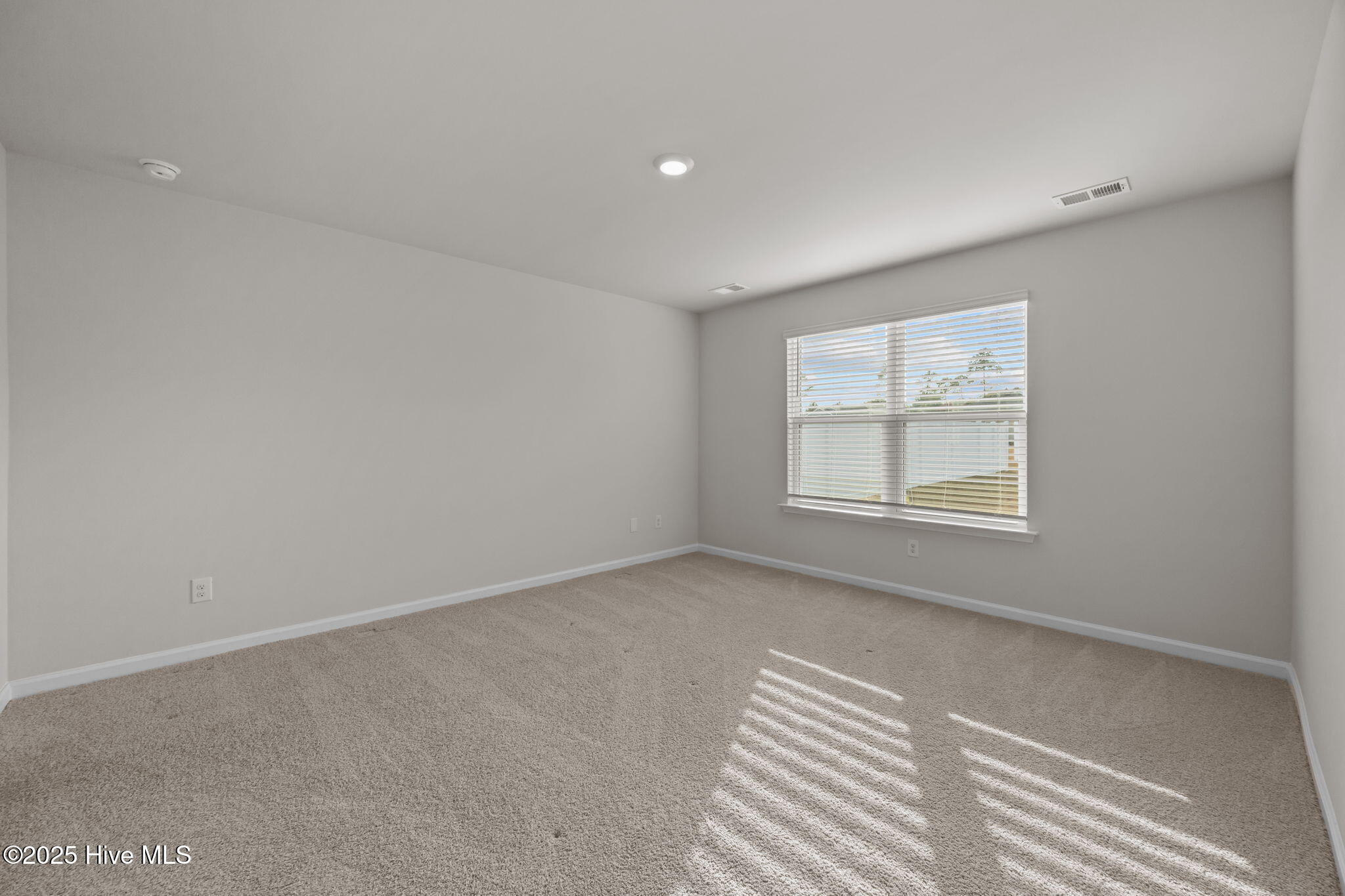 100542693 | Photo 35