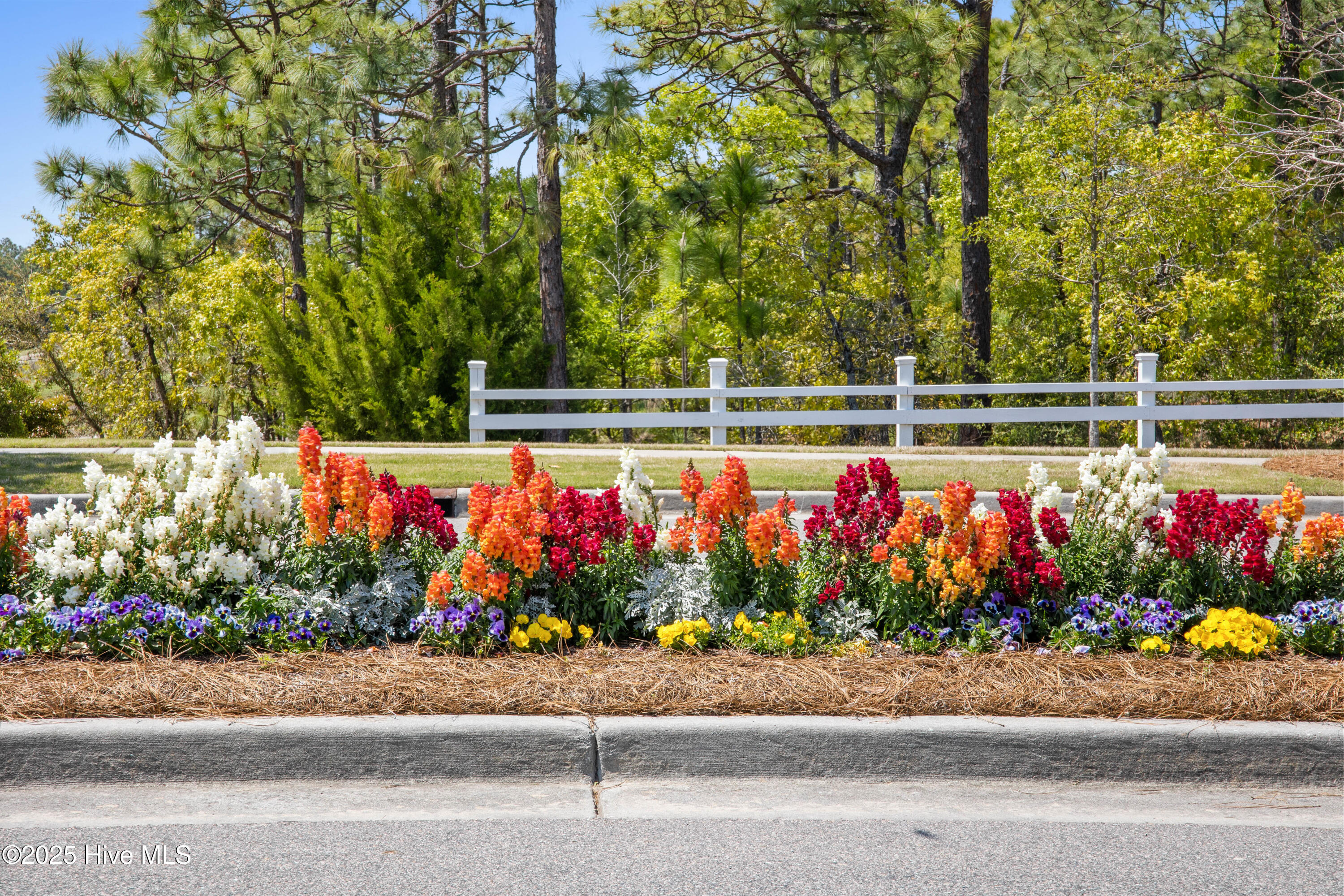 100476655 | Photo 64