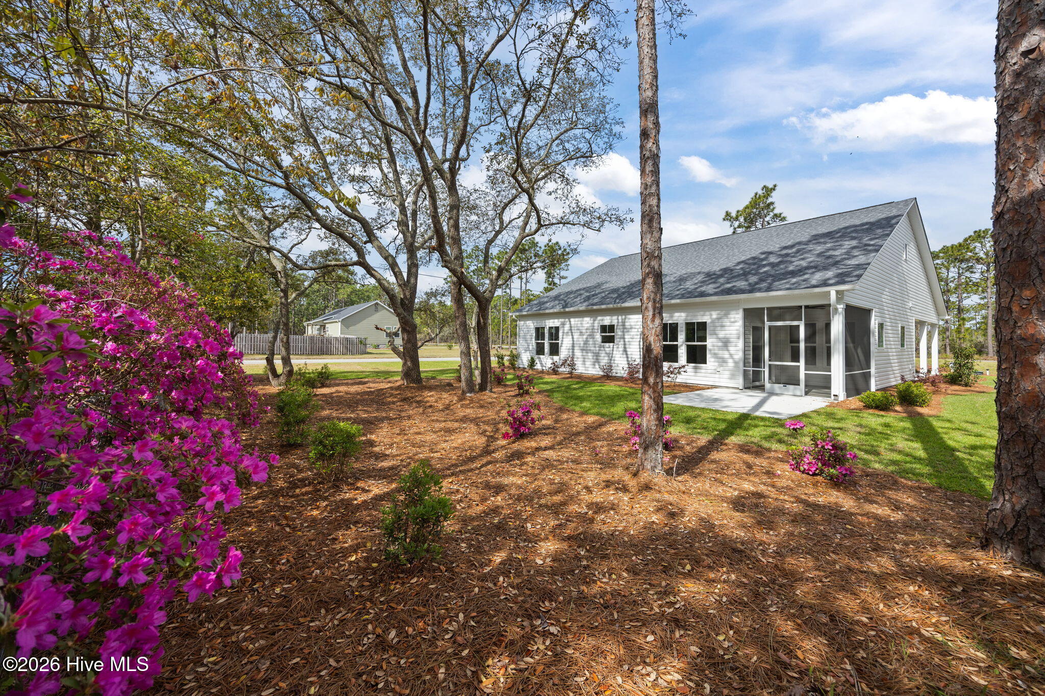 100553165 | Photo 38