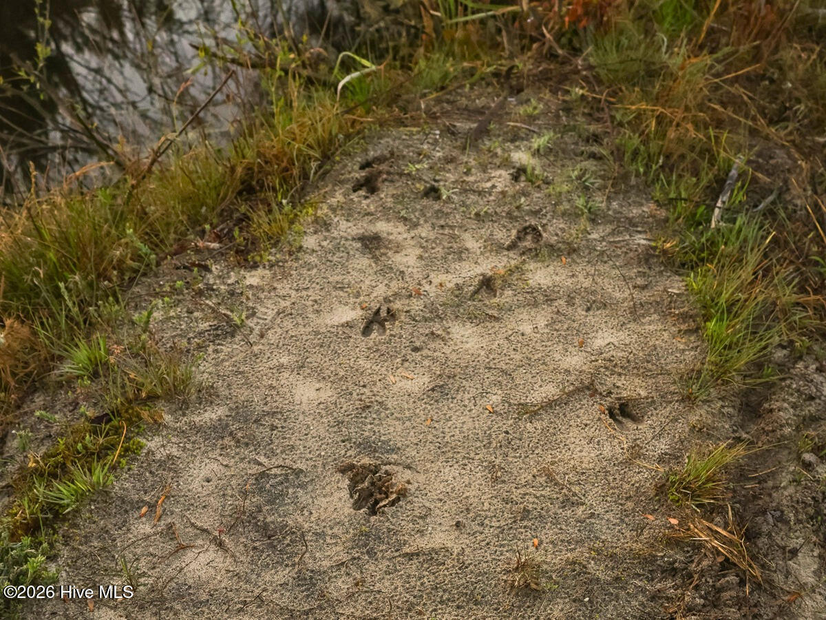 0 Durwood Evans Road, Beulaville, NC, 28518