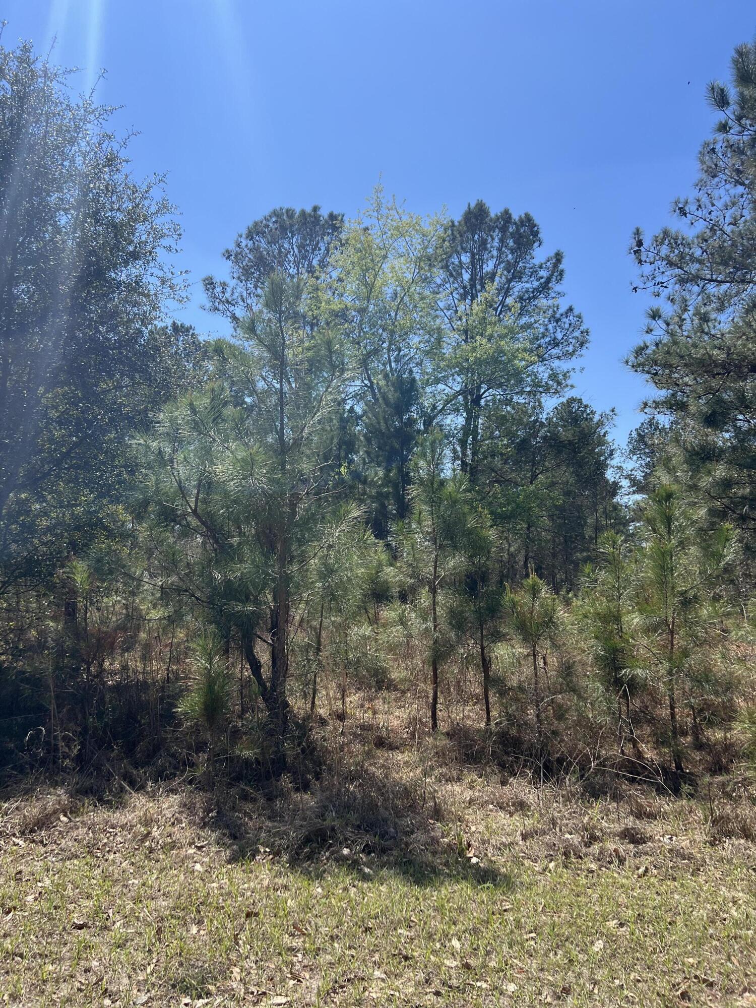 Homes for sale in Sardis, GA | 708 Kingstown Rd, Sardis, GA 30456 | MLS# 98254732