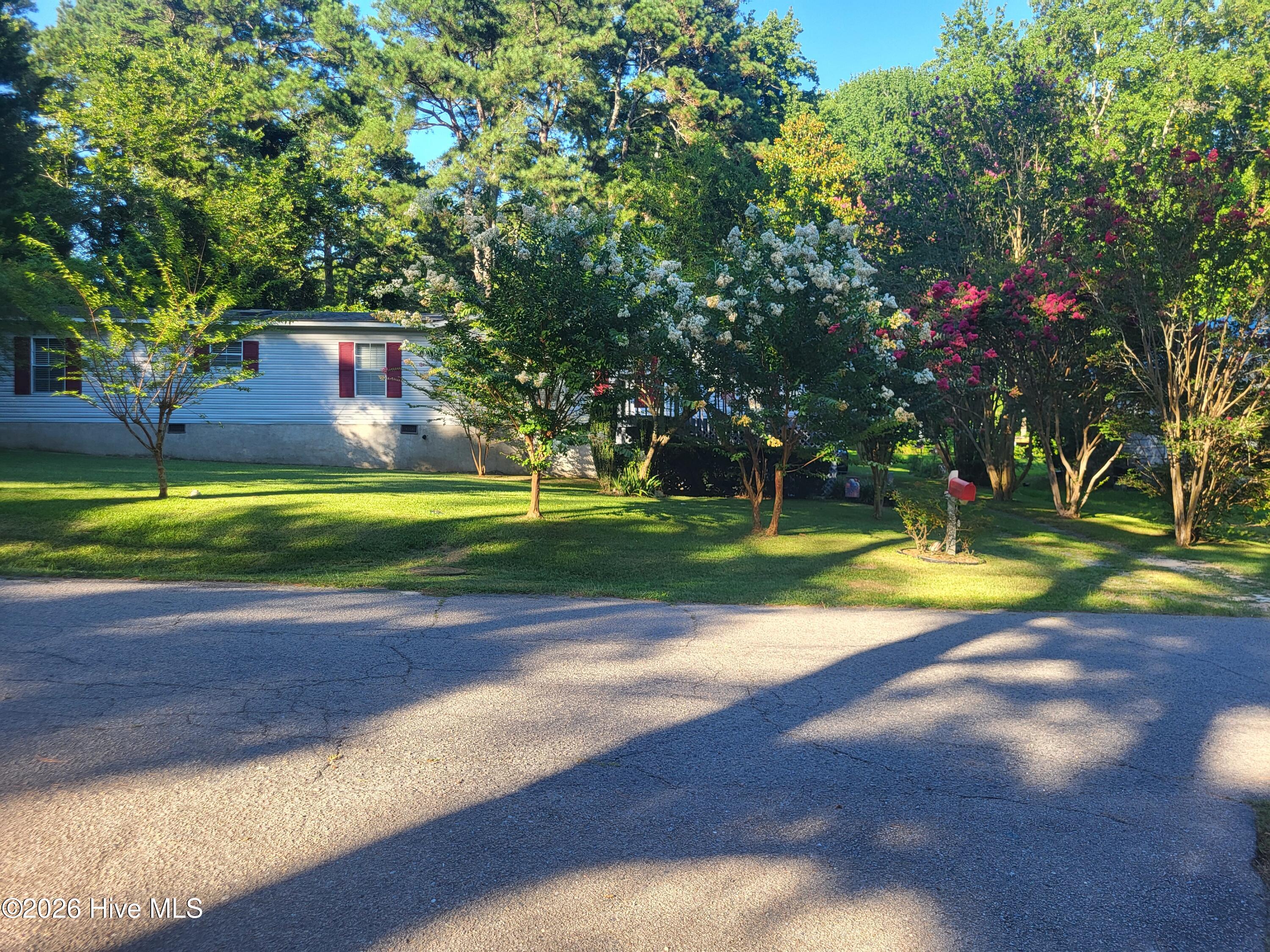 Homes for sale in Carthage, NC | 716 Pinecrest St, Carthage, NC 28327 | MLS# 100551099