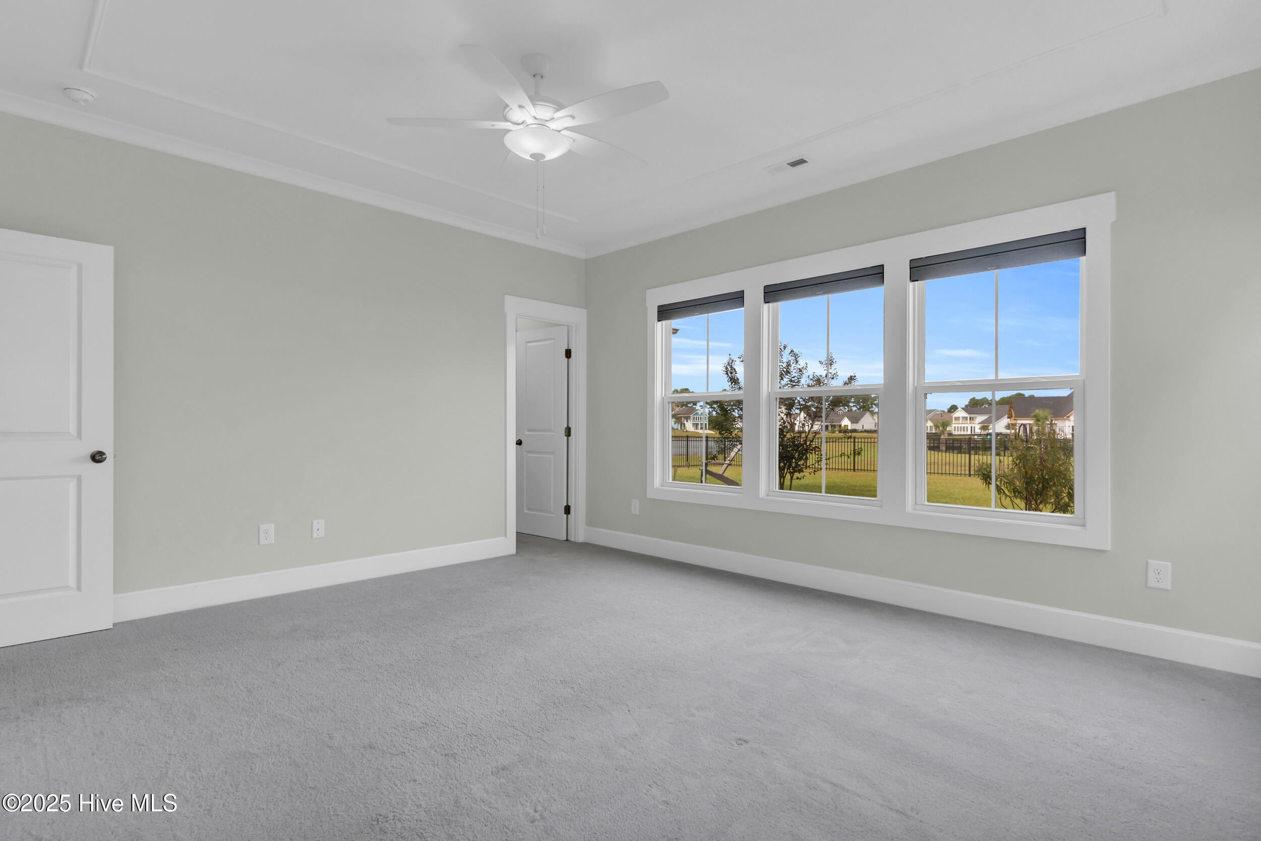 100535335 | Photo 17