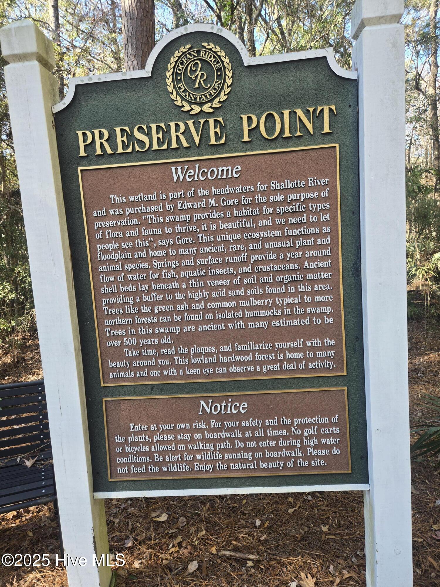 100545211 | Photo 88