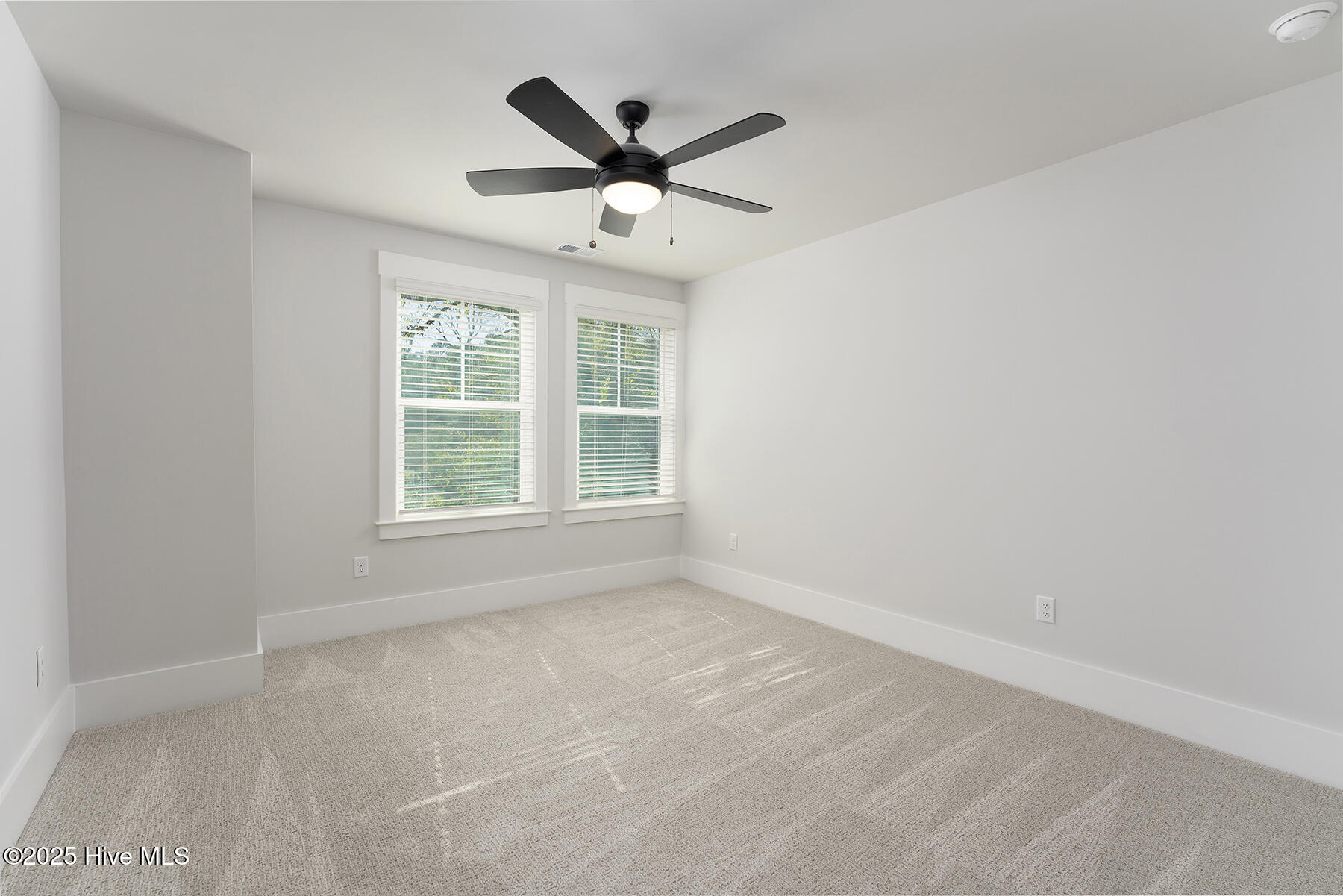 100506465 | Photo 19