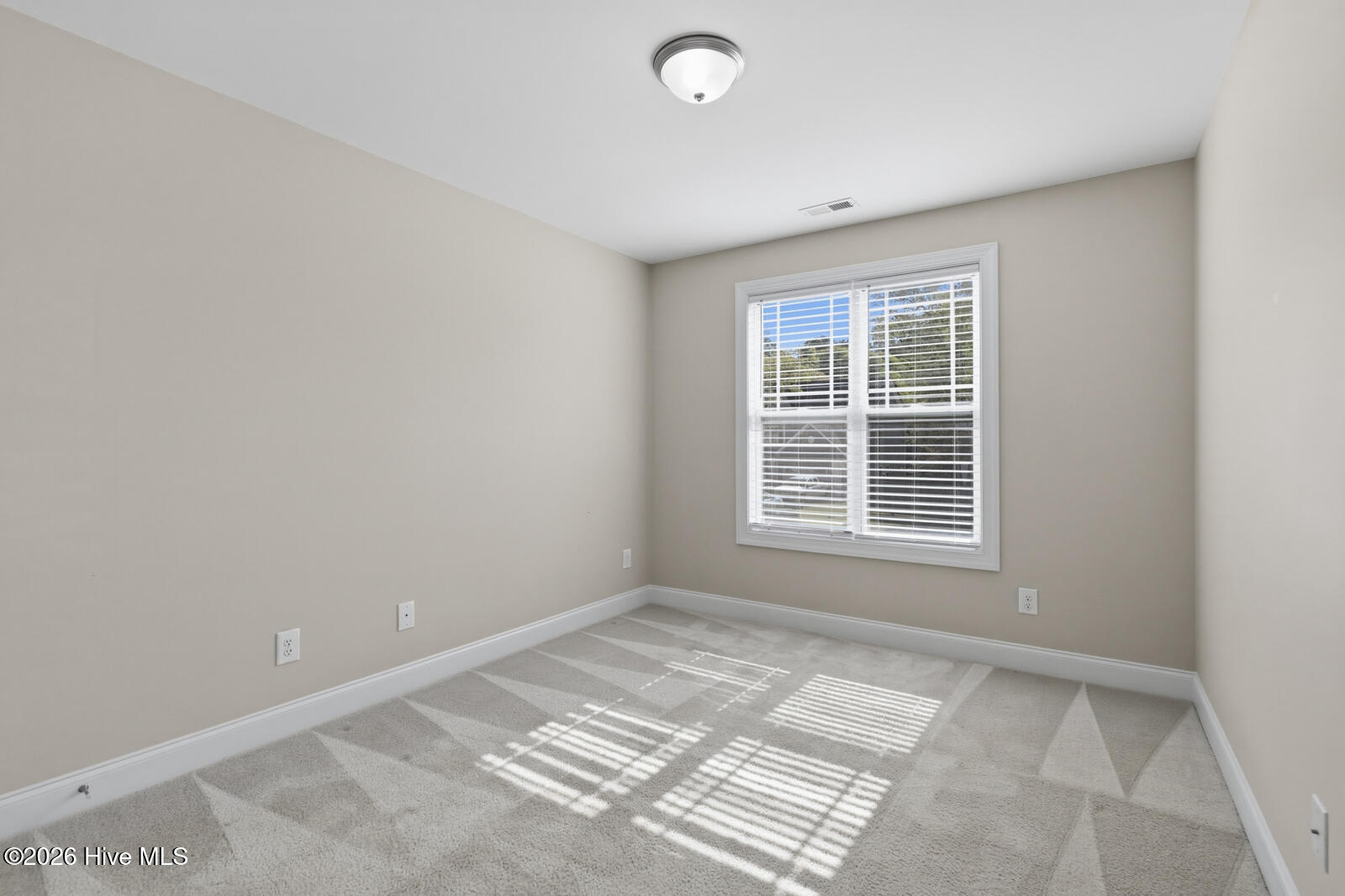 100563645 | Photo 16