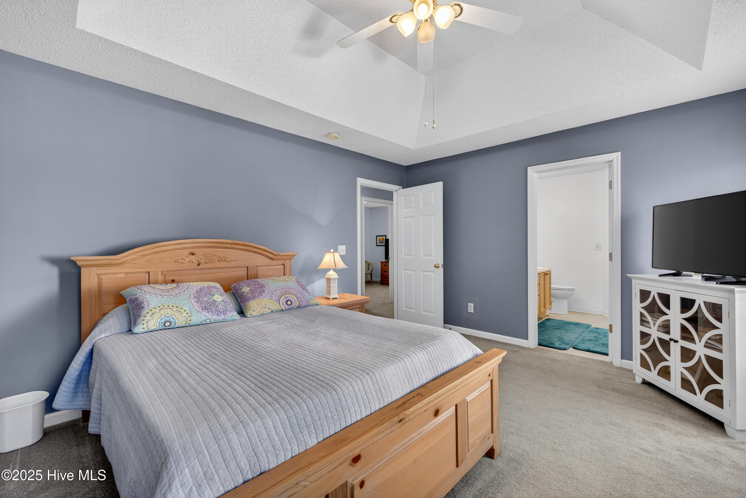 100541266 | Photo 18