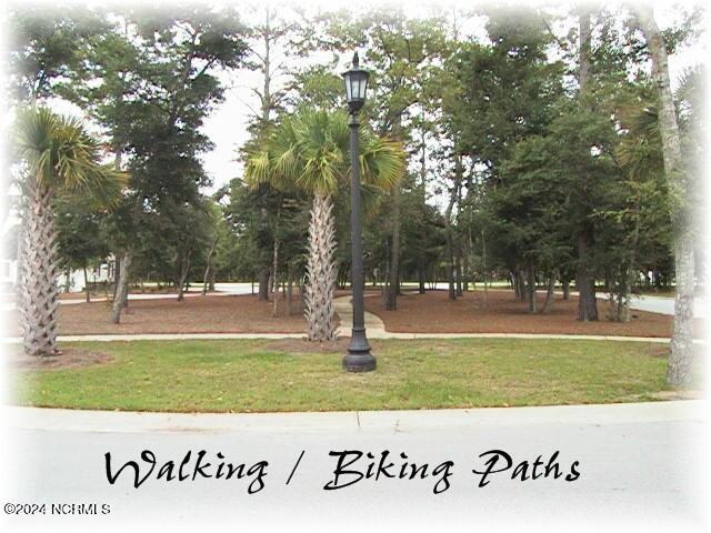 100460622 | Photo 29