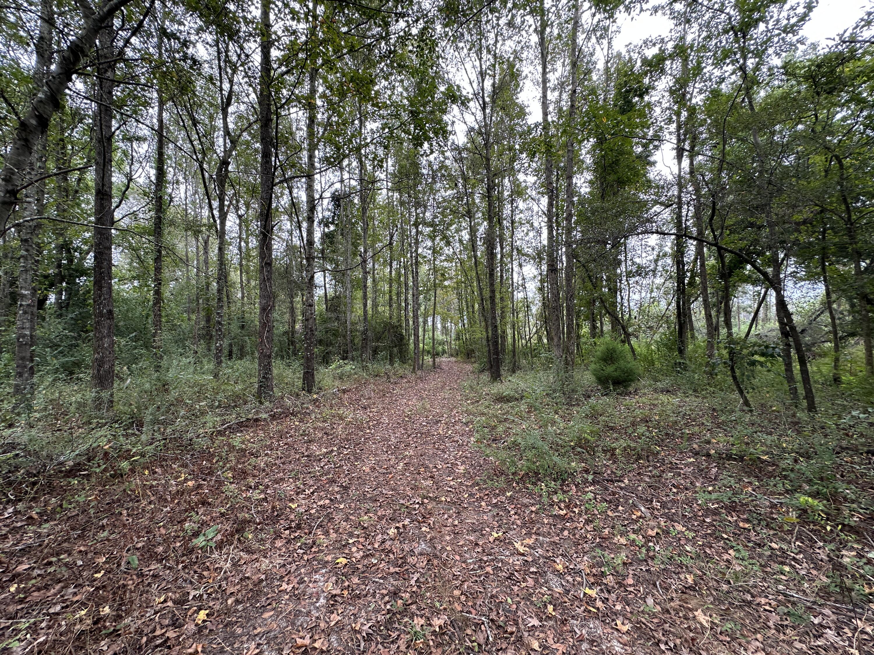 9DF668D7-76BA-4615-A668-B7CCE25DE891