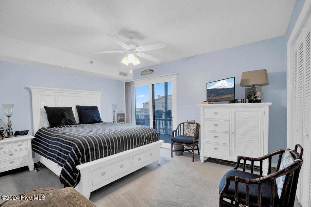 100556317 | Photo 15