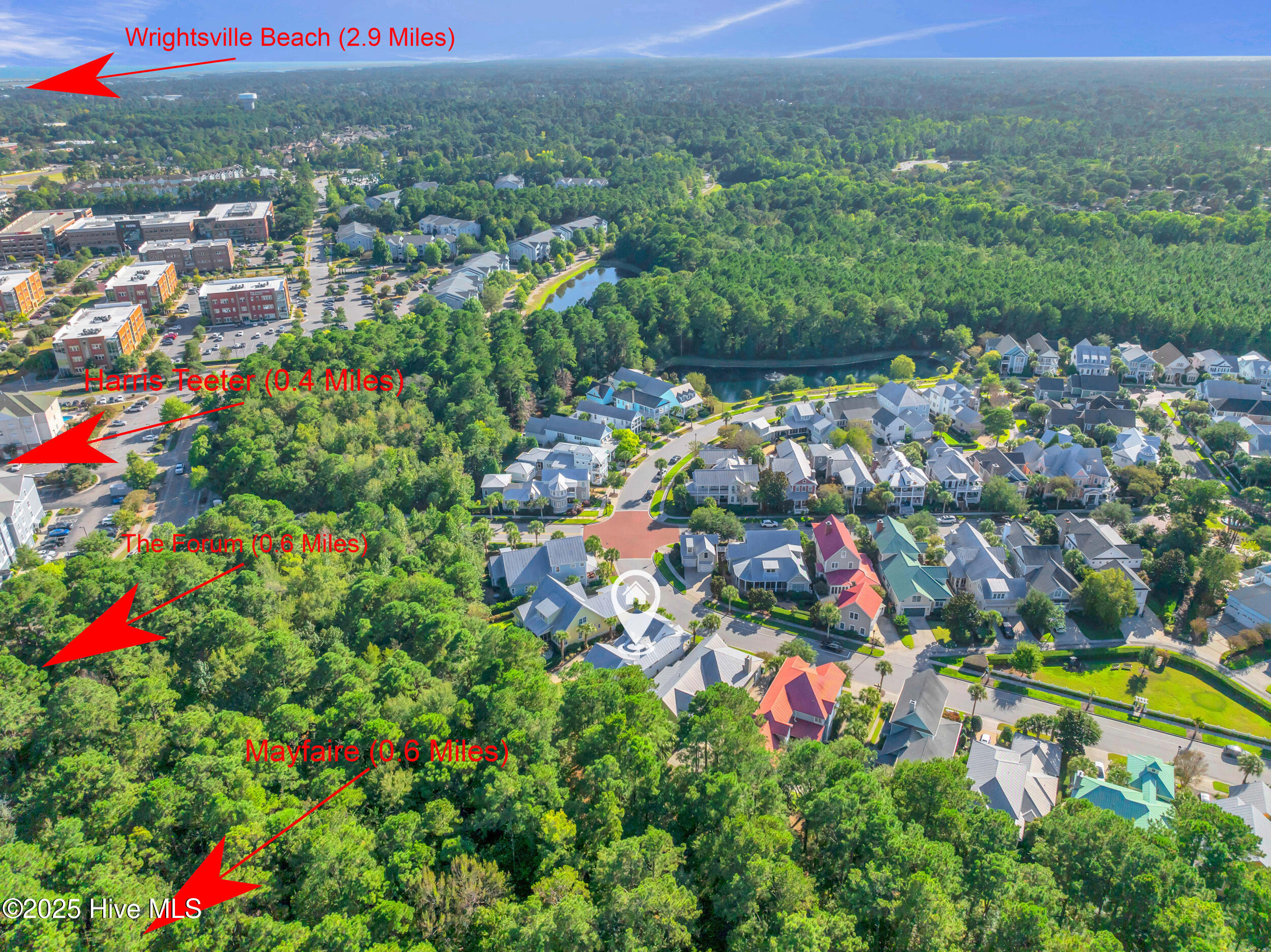 100532568 | Photo 46