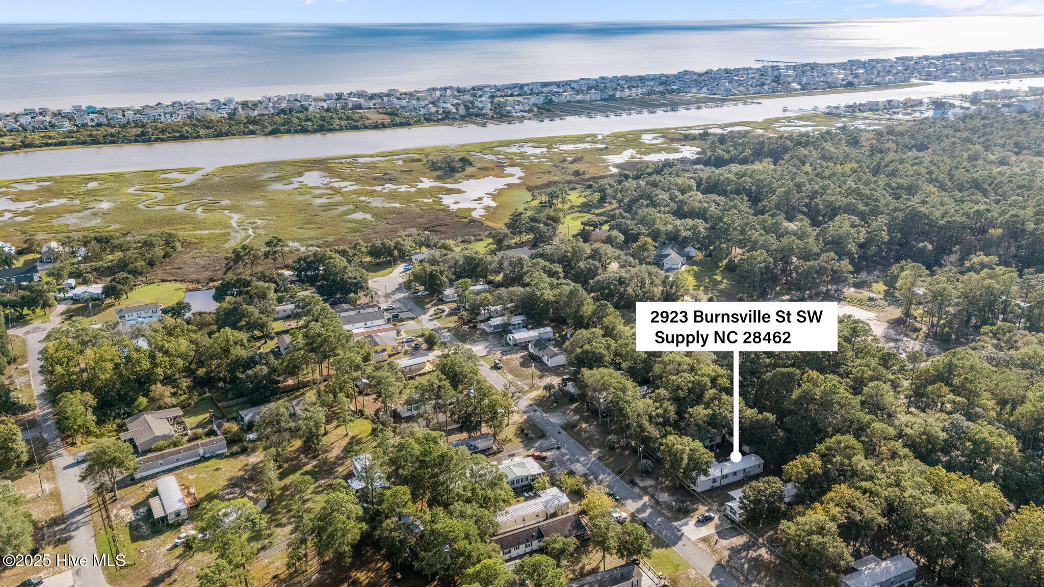 100536142 | Photo 19